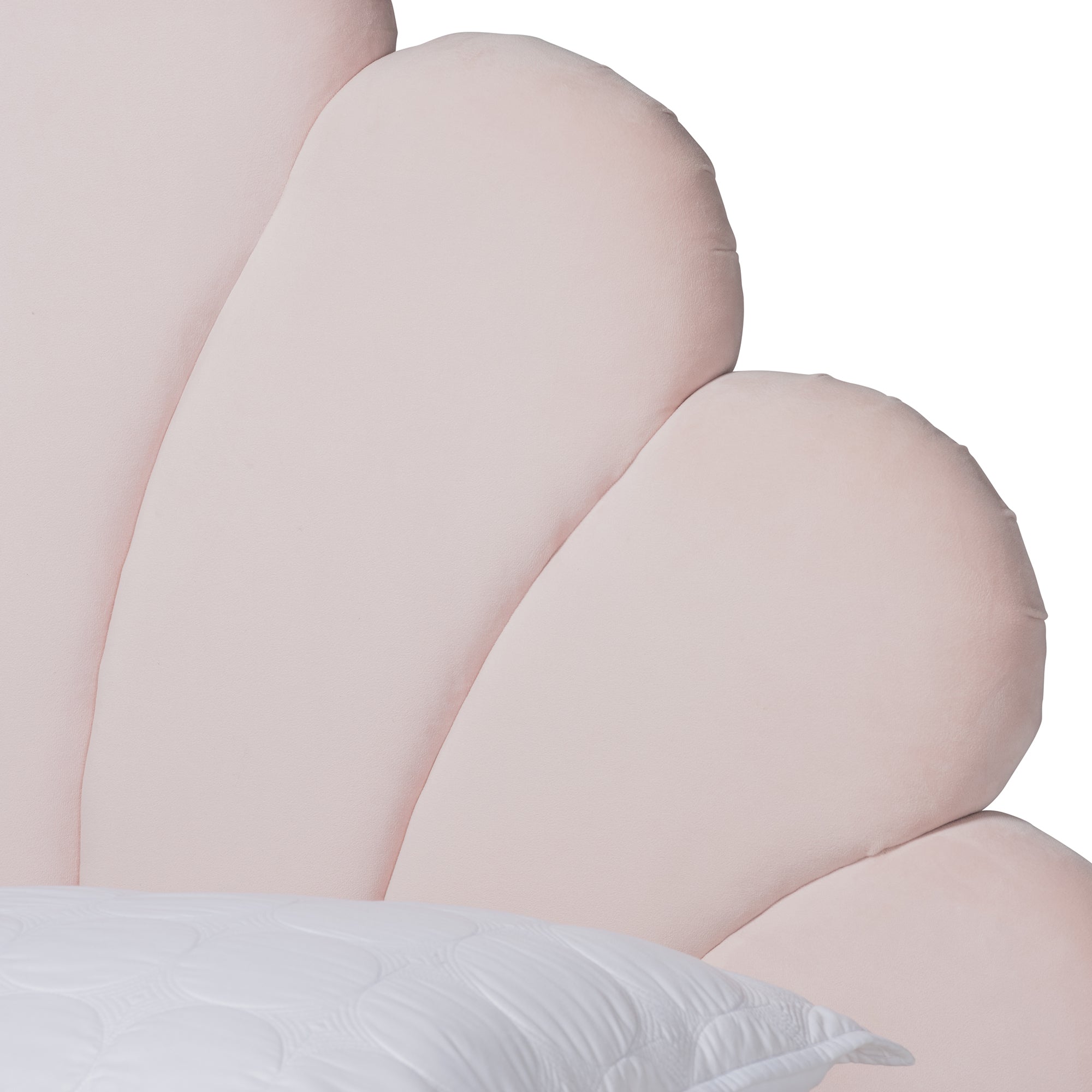 Baxton Studio Odille Modern Glam Light Pink Velvet Upholstered Walnut Brown Finished Wood Queen Size Seashell Shaped Platform Bed