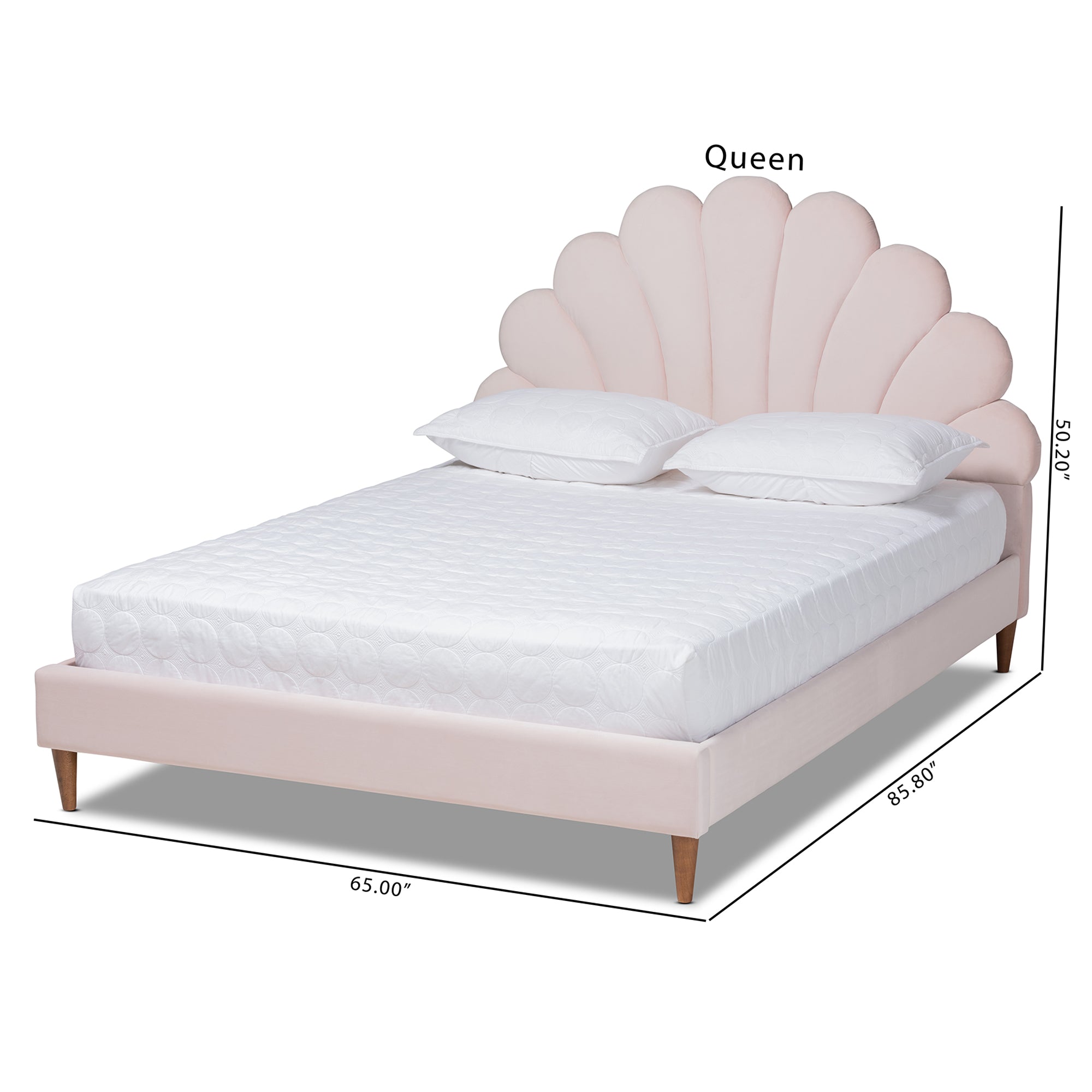 Baxton Studio Odille Modern Glam Light Pink Velvet Upholstered Walnut Brown Finished Wood Queen Size Seashell Shaped Platform Bed