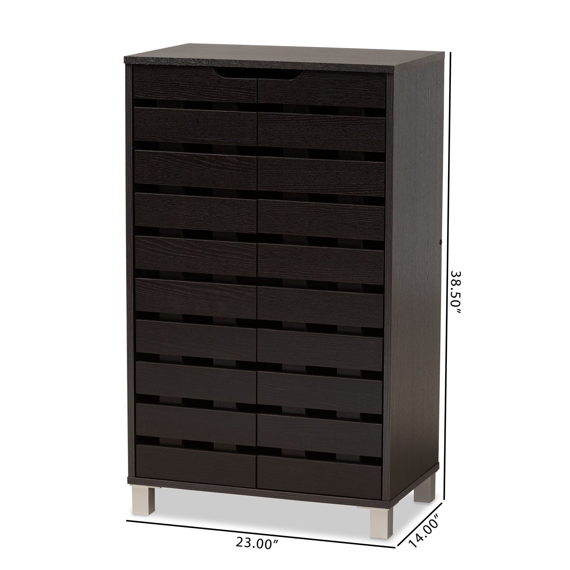 Baxton Studio Ernest Modern and Contemporary Dark Brown Finished Wood 2-Door Shoe Storage Cabinet