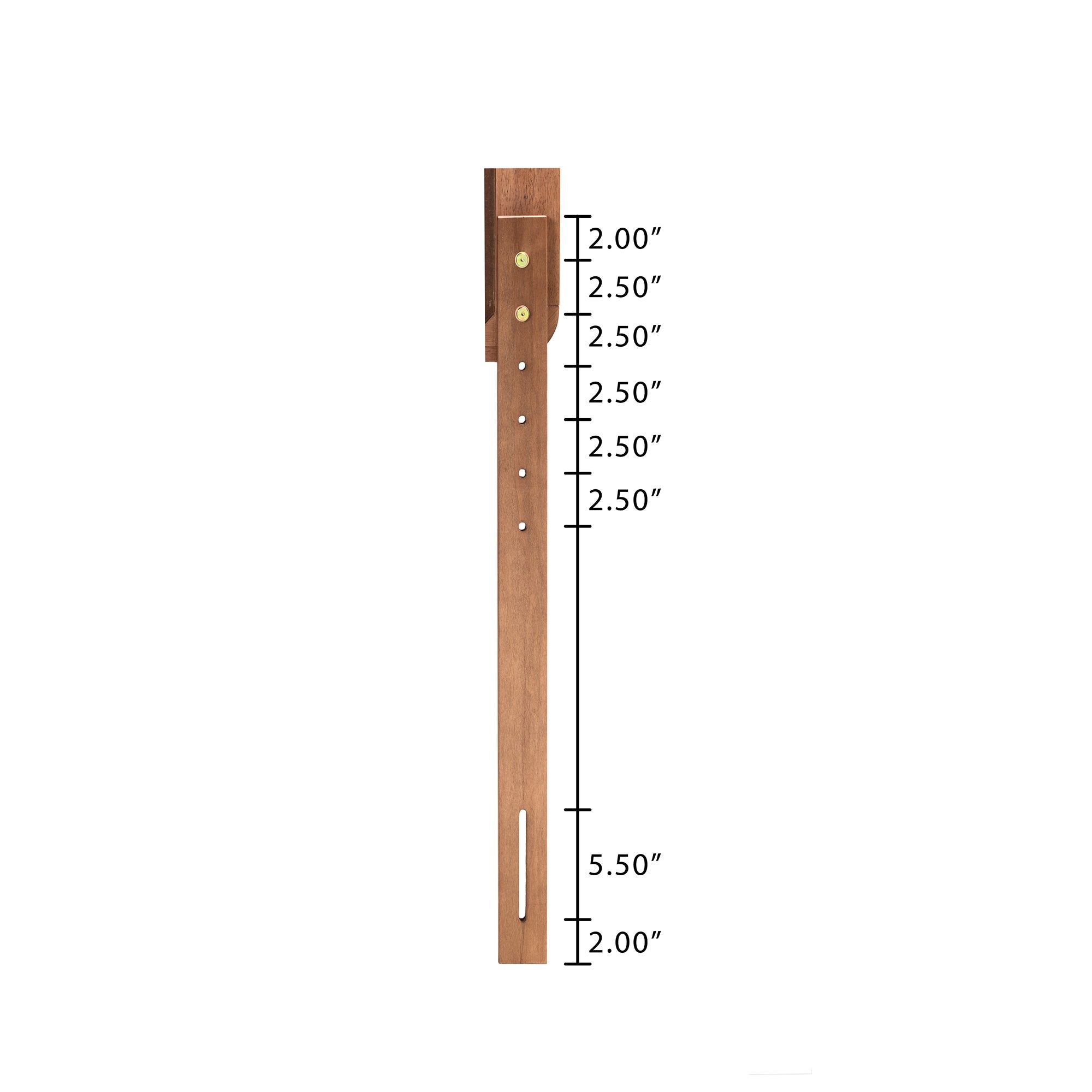 Baxton Studio Michi Modern and Contemporary Ash Walnut Finished Wood Twin Size Bed