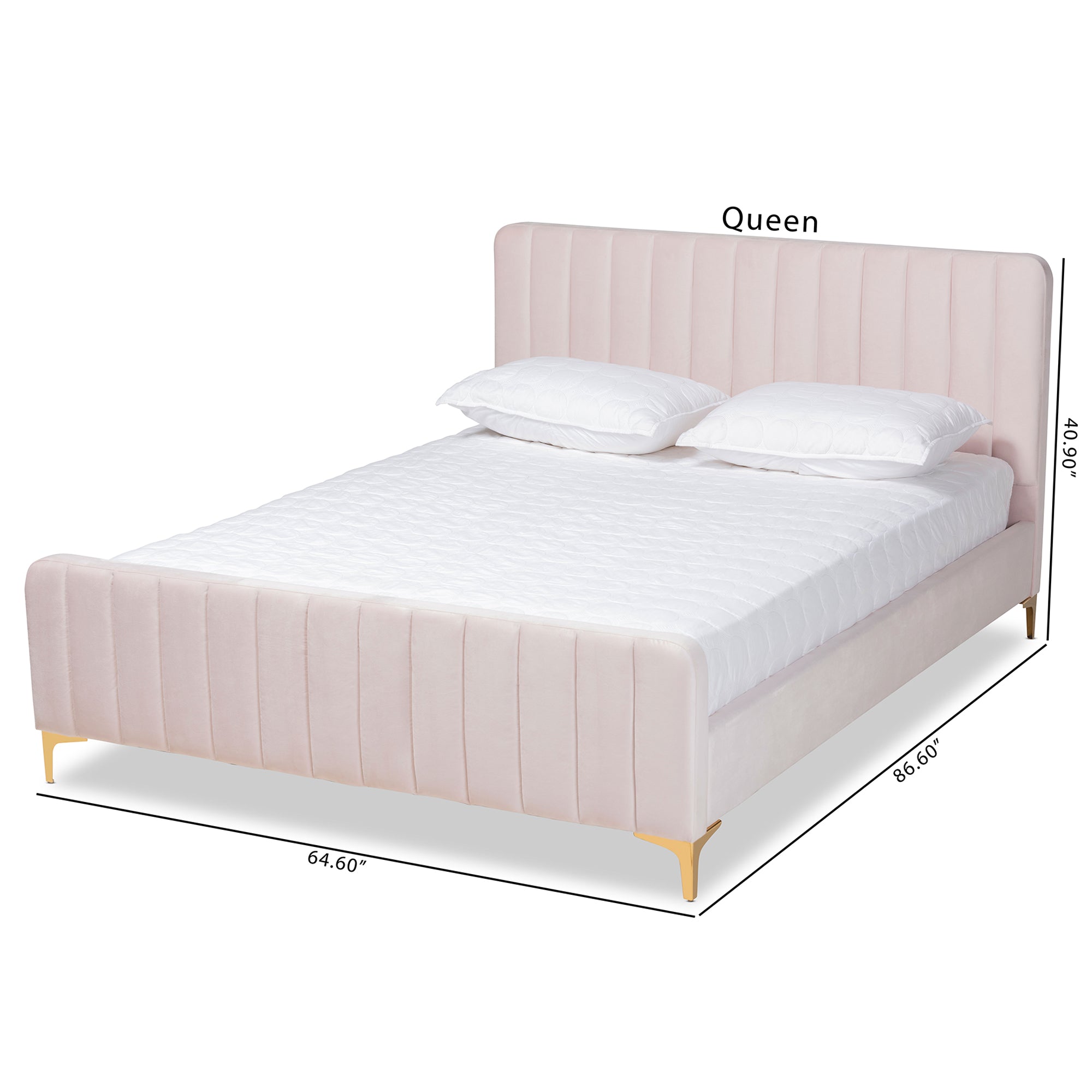 Baxton Studio Nami Modern Contemporary Glam and Luxe Light Pink Velvet Fabric Upholstered and Gold Finished Queen Size Platform Bed