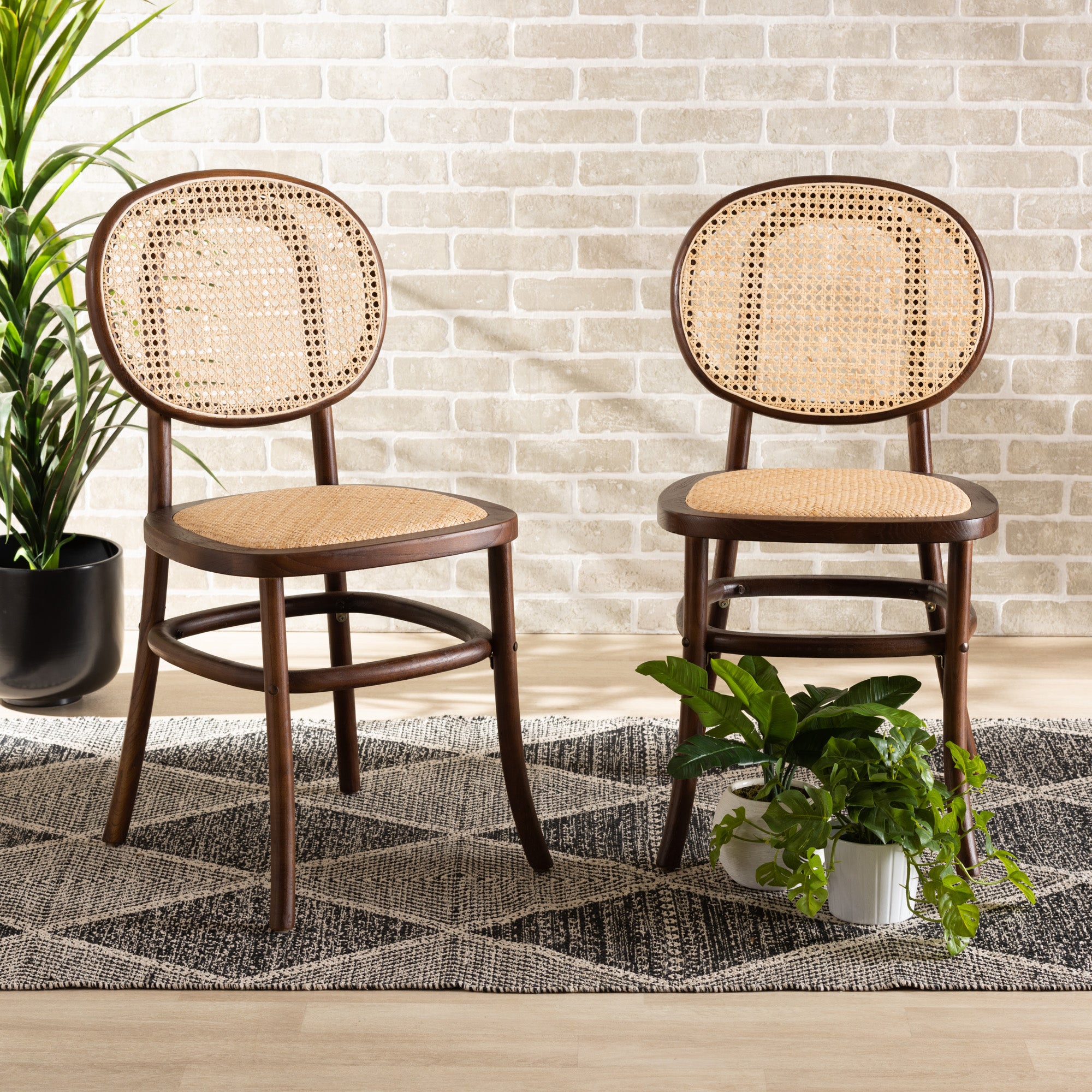 Baxton Studio Garold Mid-Century Modern Brown Woven Rattan and Walnut Brown Wood 2-Piece Cane Dining Chair Set