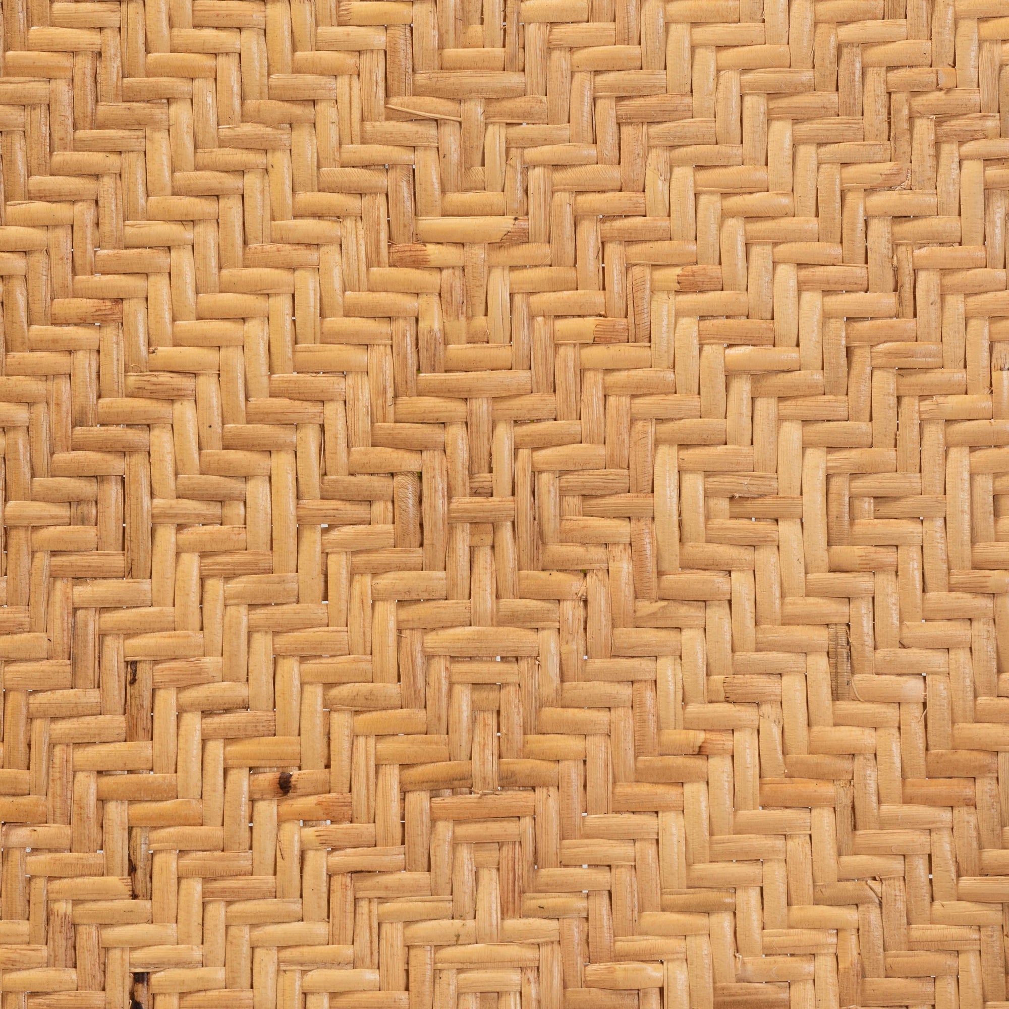 bali & pari Orchard Modern Bohemian Natural Brown Rattan Counter Stool
