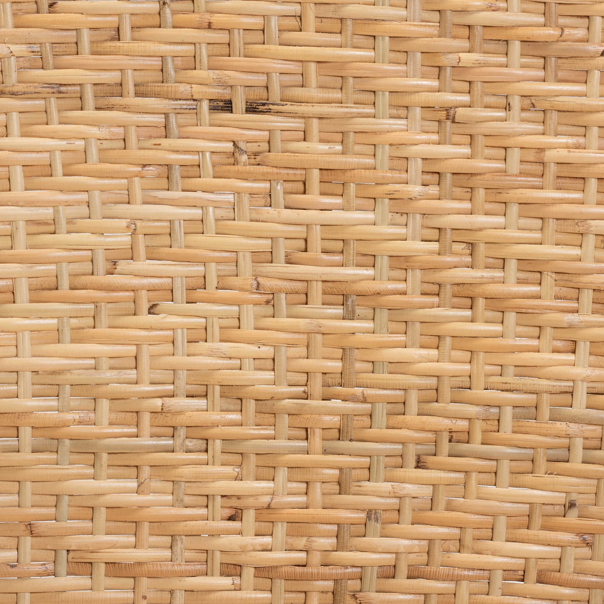 bali & pari Genna Modern Bohemian Natural Brown Finished Rattan Dining Chair