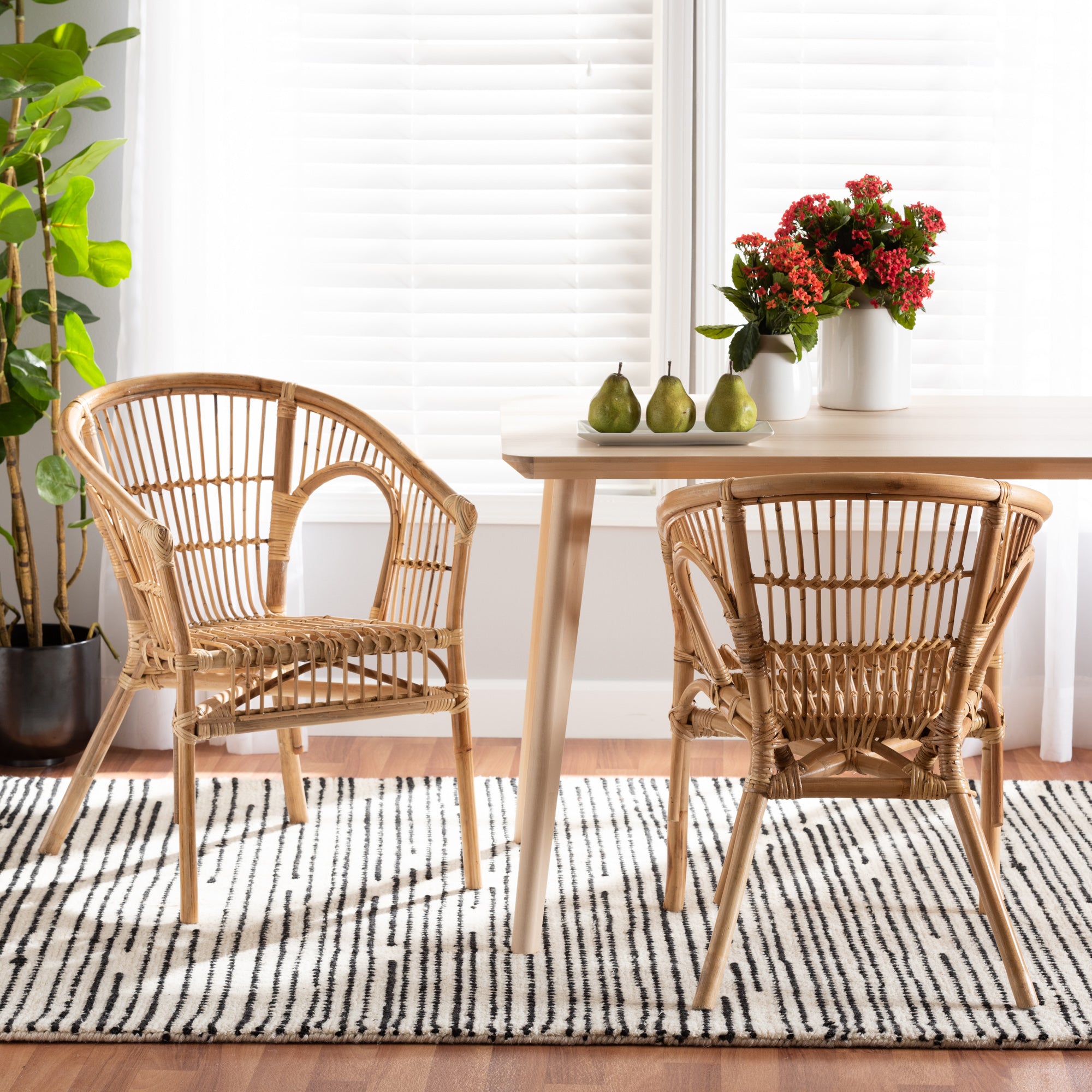 bali & pari Alleta Modern Bohemian Natural Brown Rattan 2-Piece Dining Chair Set