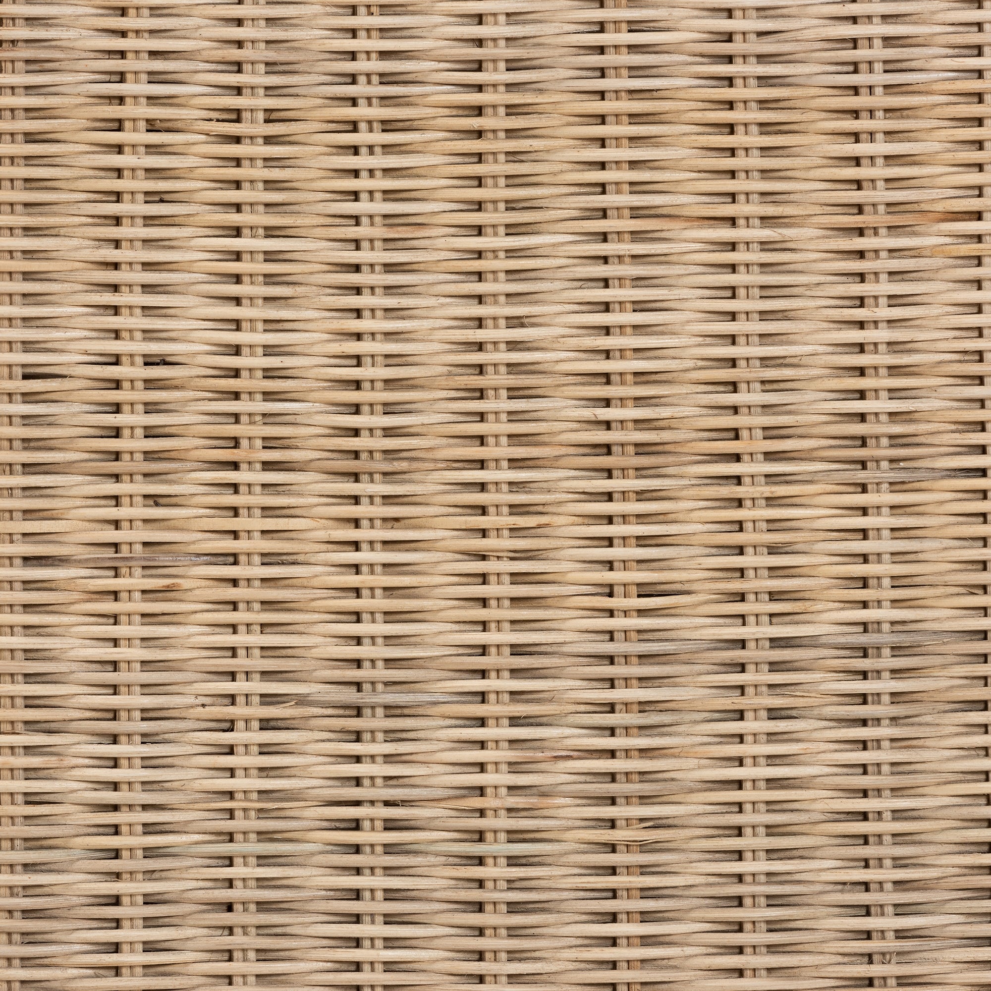 bali & pari Cantara Modern Bohemian Natural Rattan Queen Size Standalone Headboard