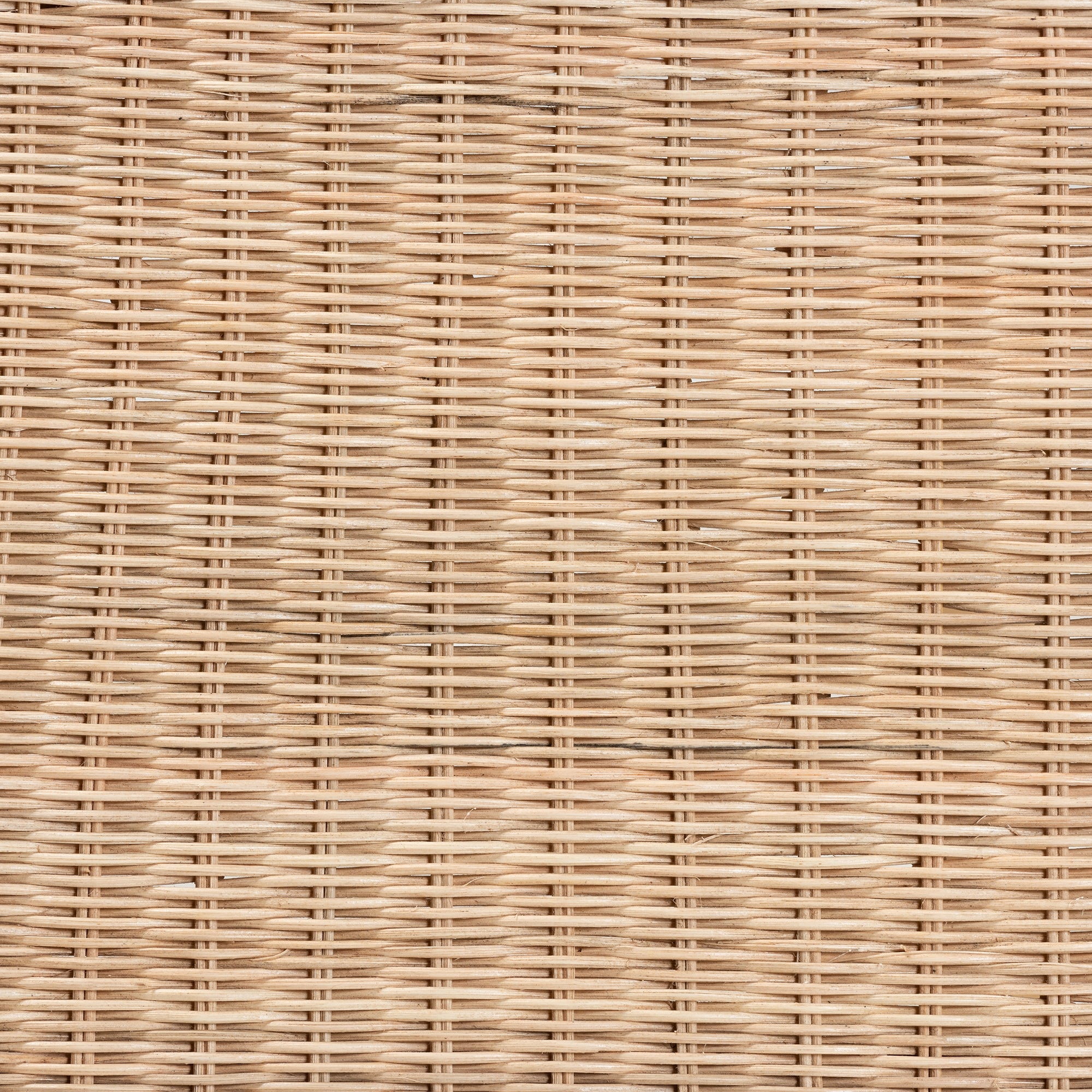 bali & pari Farica Modern Bohemian Natural Rattan And Mahogany Accent Bench