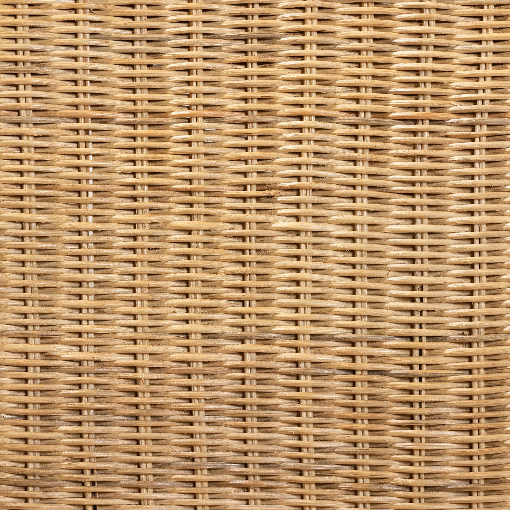 bali & pari Shamara Modern Bohemian Natural Rattan and Mahogany Wood Dining Chair