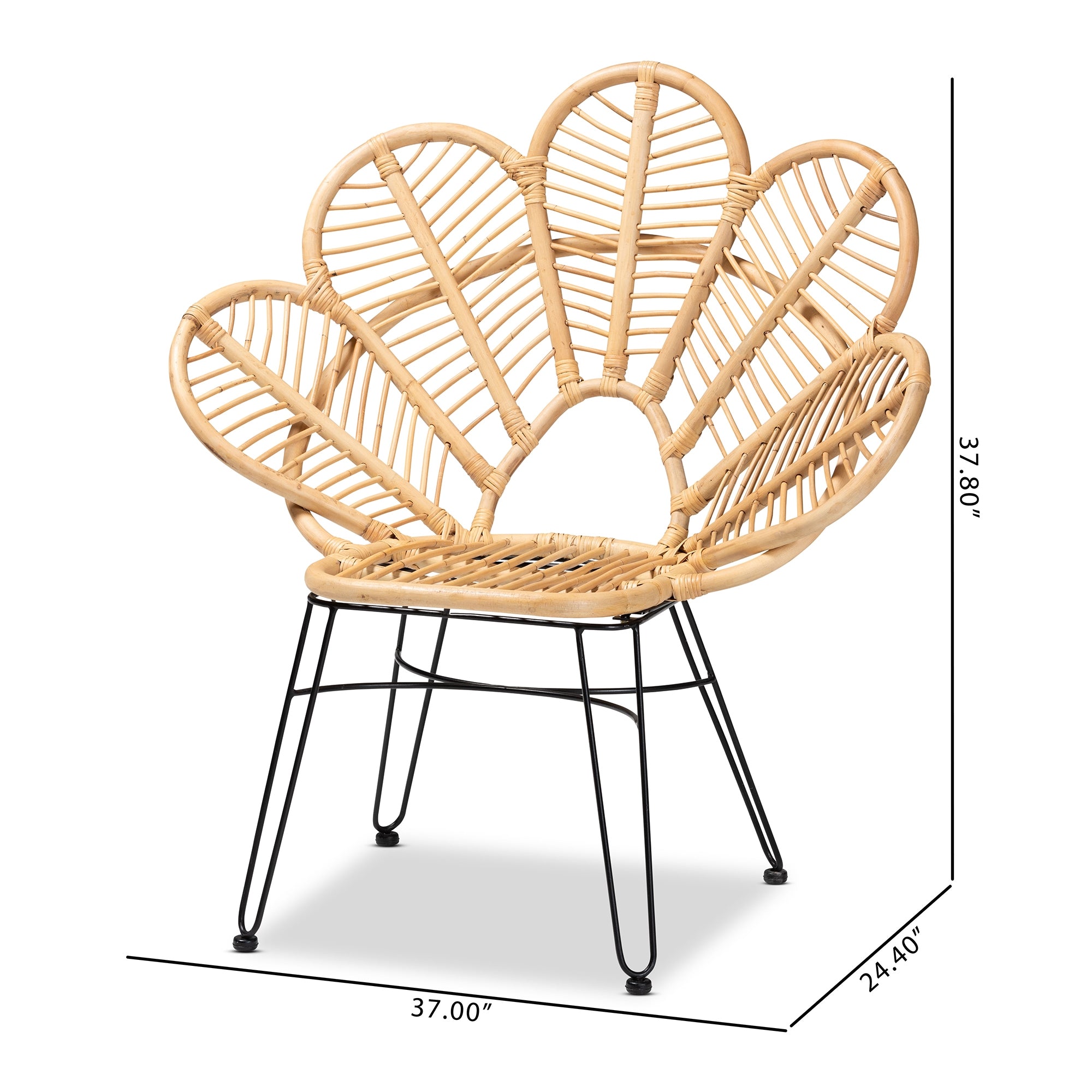 bali & pari Garan Modern Bohemian Natural Brown Rattan and Black Metal Accent Chair