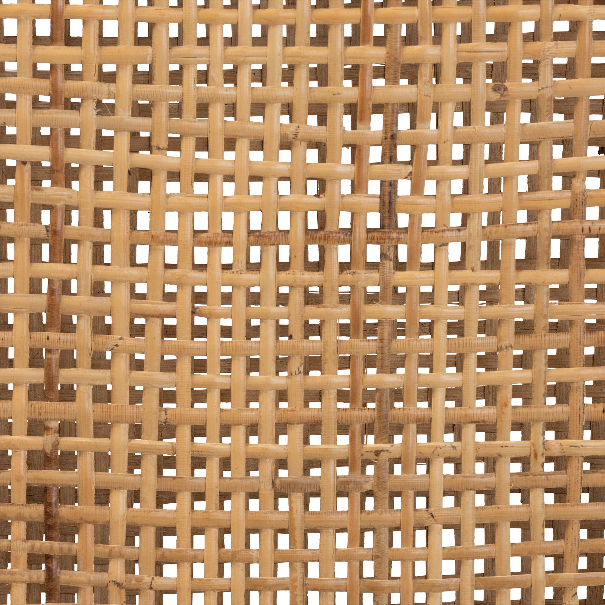 bali & pari Arthur Mid-Century Modern Walnut Brown Mahogany Wood and Natural Rattan 2-Piece Dining Chair Set