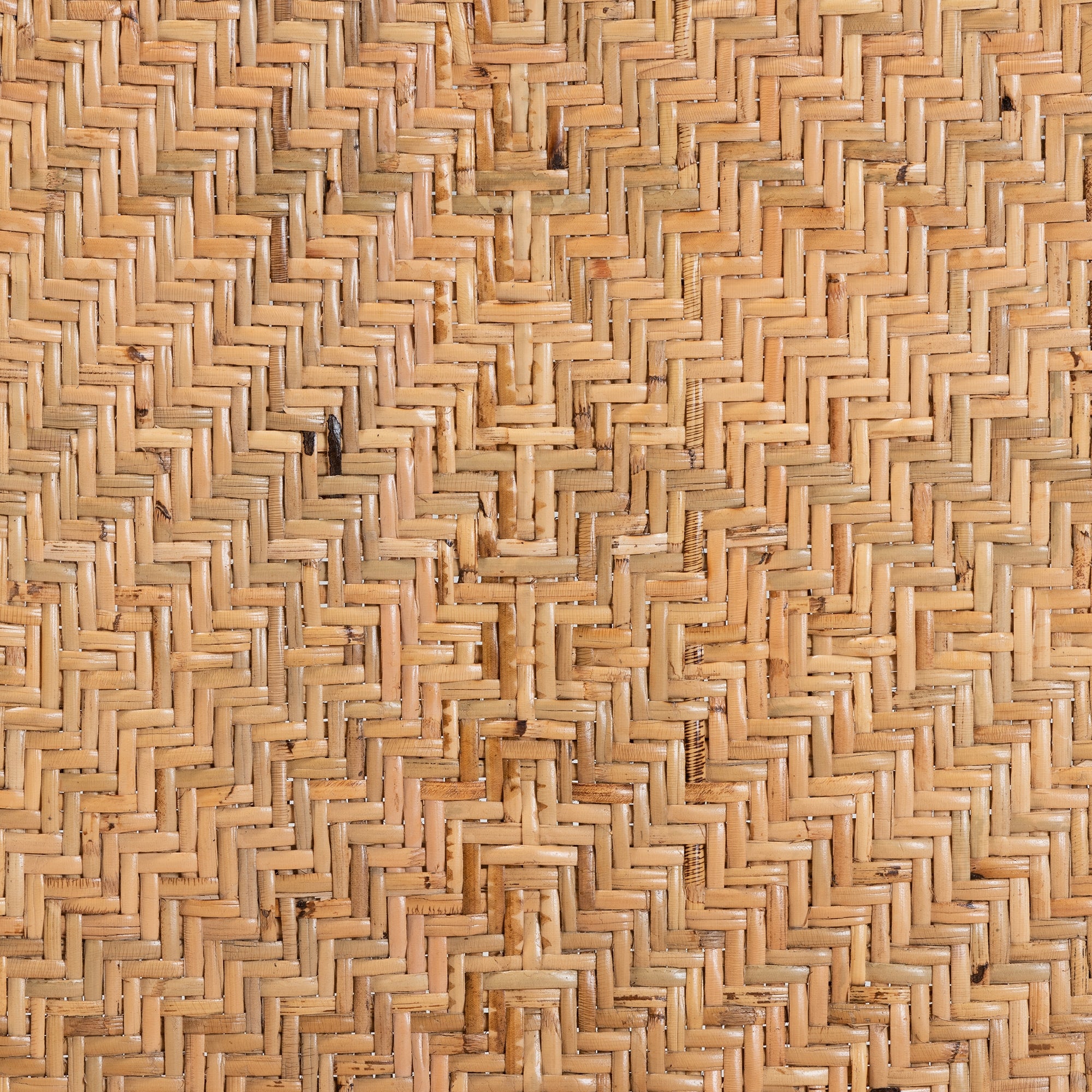 bali & pari Adrena Modern Bohemian Natural Brown Rattan Bar Stool