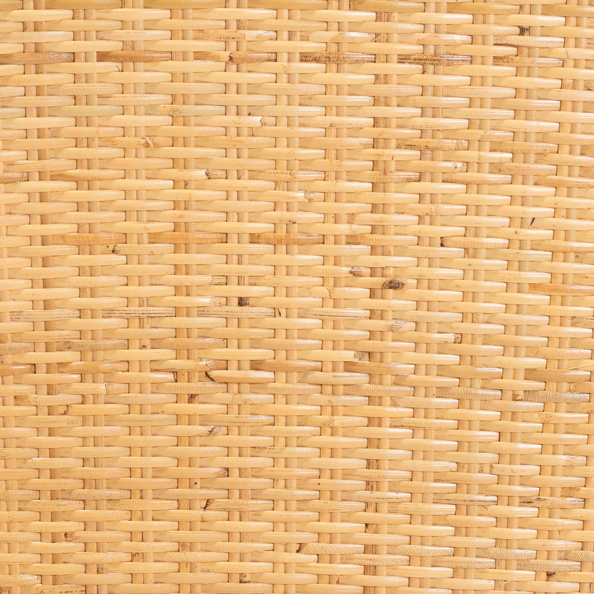 bali & pari Monaco Modern Bohemian Oak Brown Finished Mahogany Wood and Natural Rattan Dining Chair