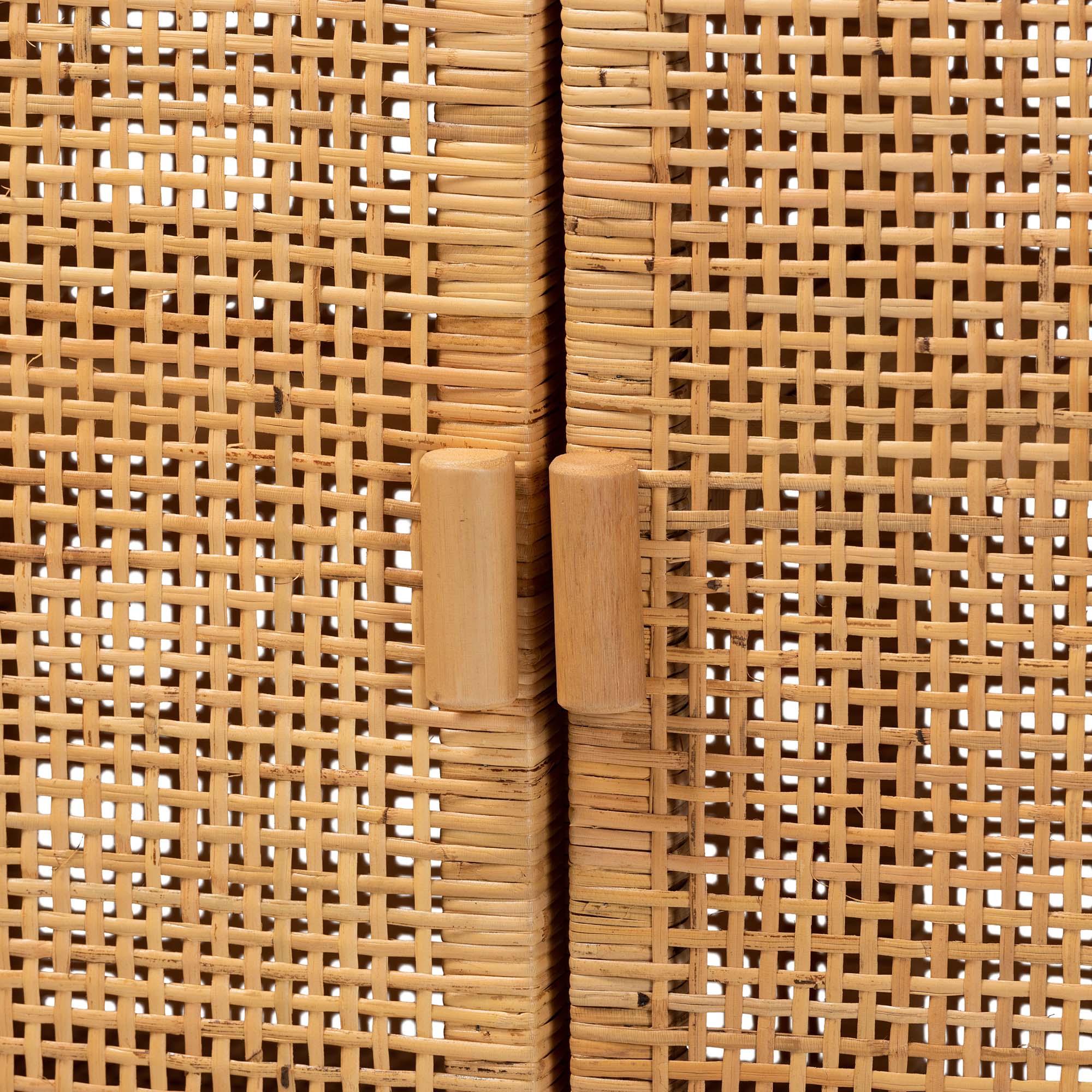 bali & pari Vivan Modern Bohemian Natural Brown Rattan and Mahogany Wood Storage Cabinet