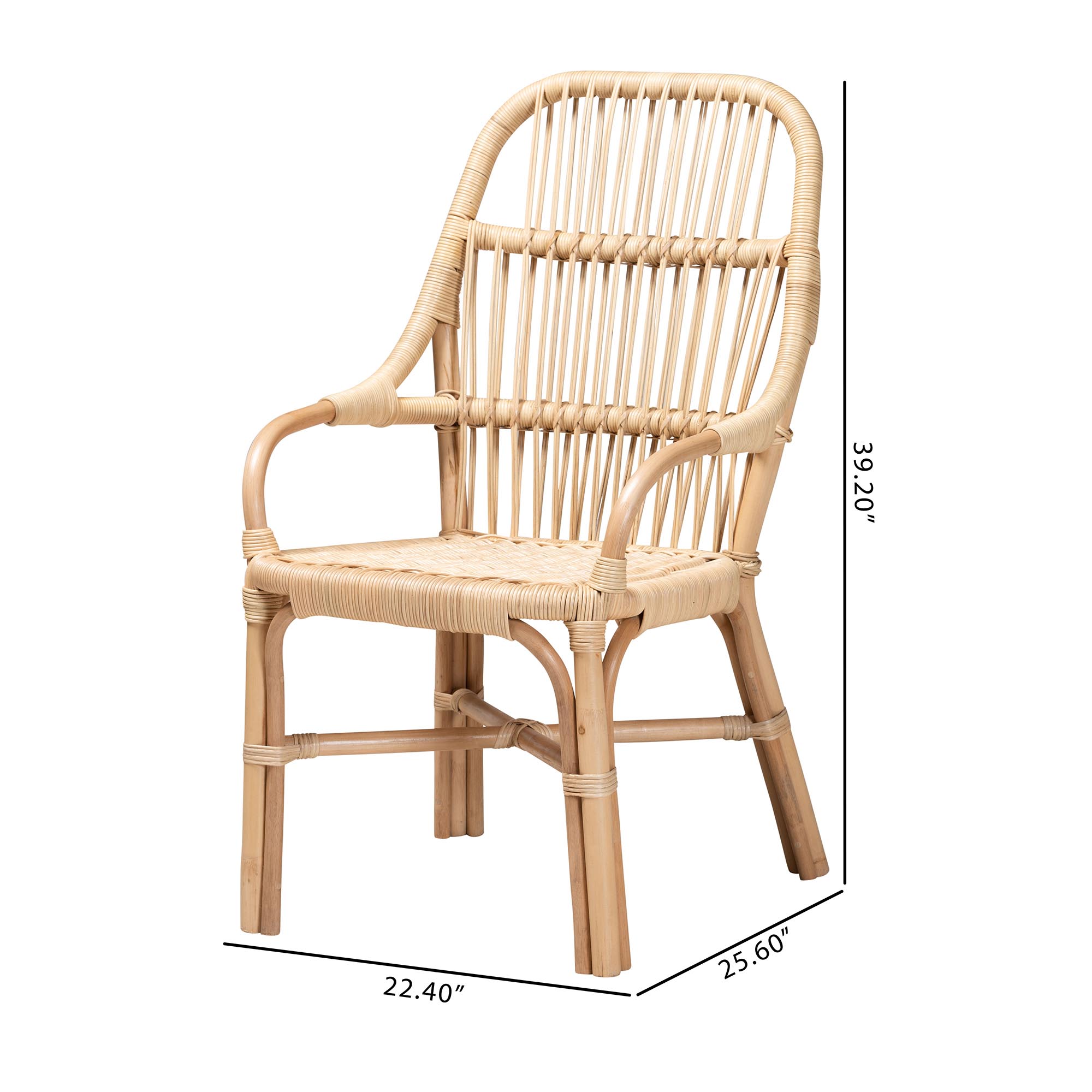 bali & pari Sumatera Modern Bohemian Natural Brown Rattan 2-Piece Dining Chair Set