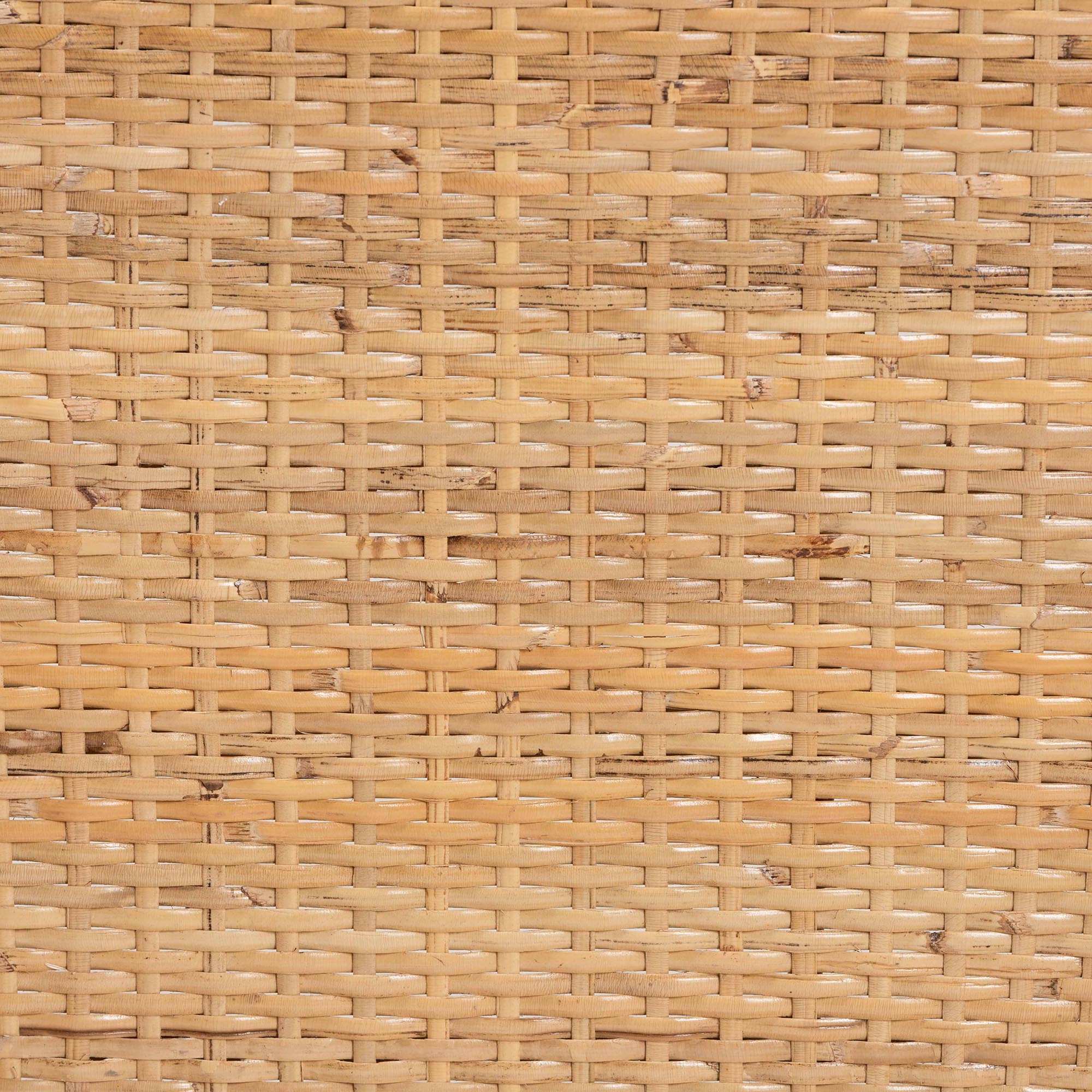 bali & pari Papua Modern Bohemian Natural Rattan and Walnut Brown Acacia Wood Counter Stool