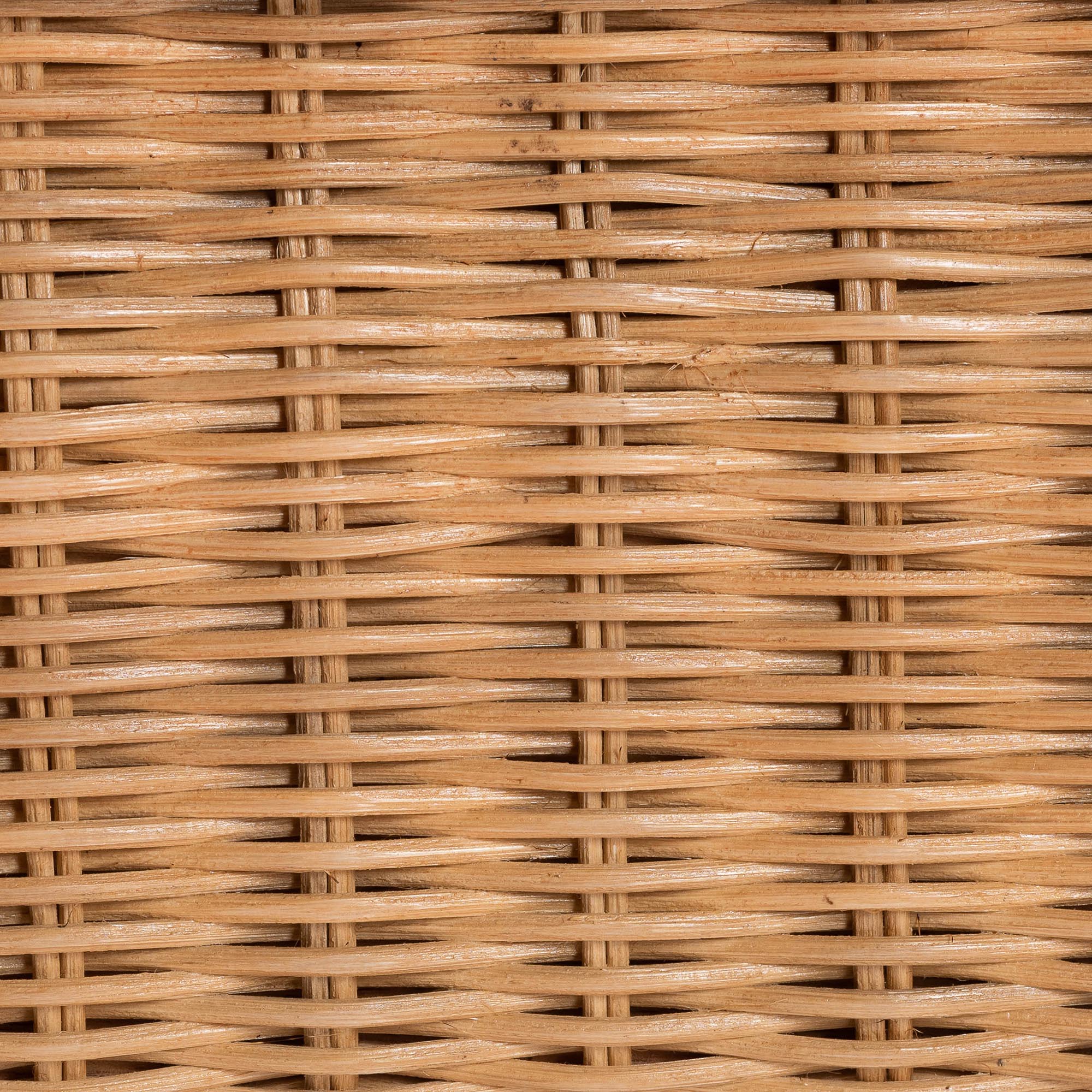 bali & pari Abena Ming Style Natural Rattan Bench with Cushion - Boho Chic Accent Seating for Entryway, Bedroom, or Living Room