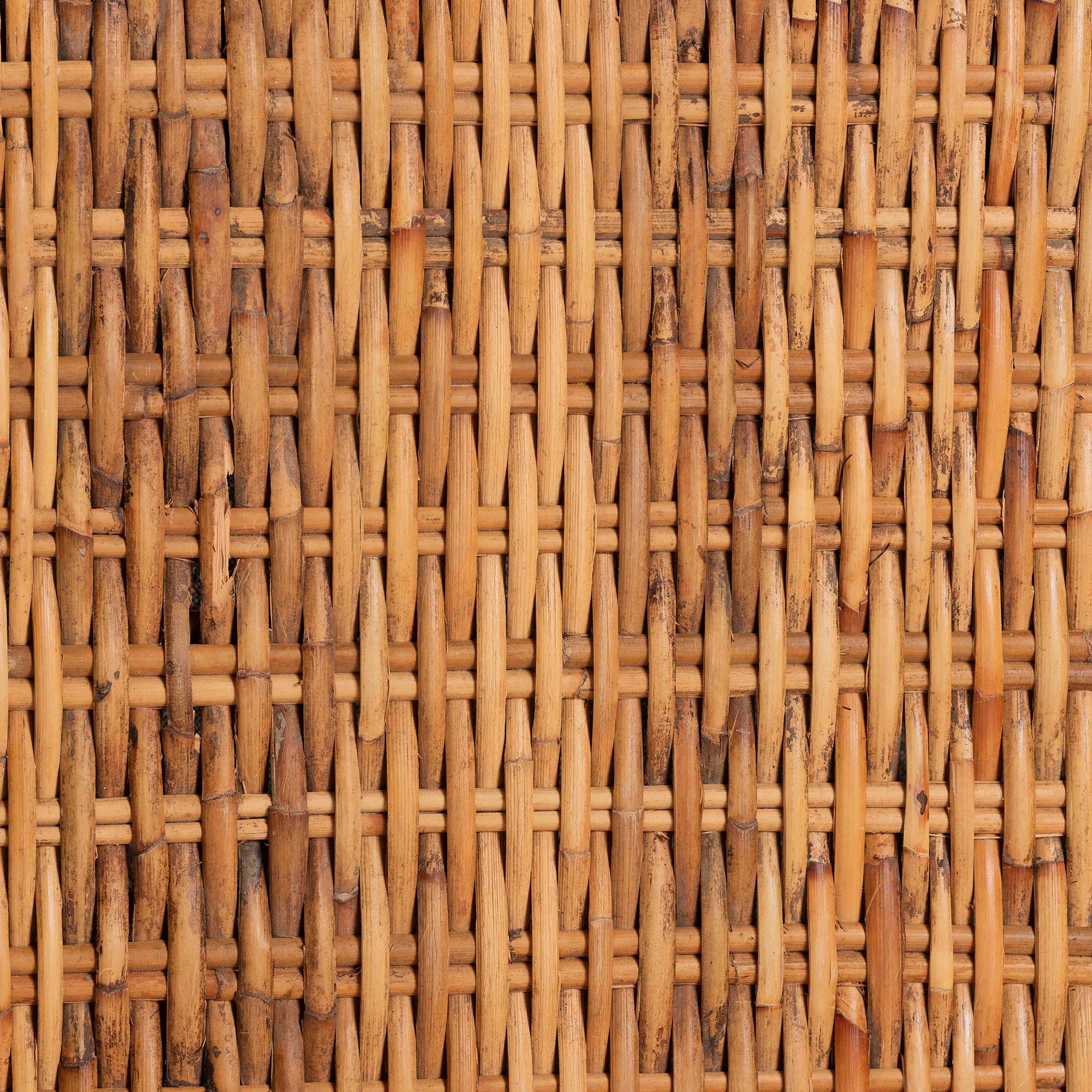 bali & pari Derris Natural Rattan Dining Chair with Cushion - Tall Wingback Side Chair with Solid Mango Wood Legs, Boho Coastal Style for Kitchen or Dining Room Seating, Light Honey