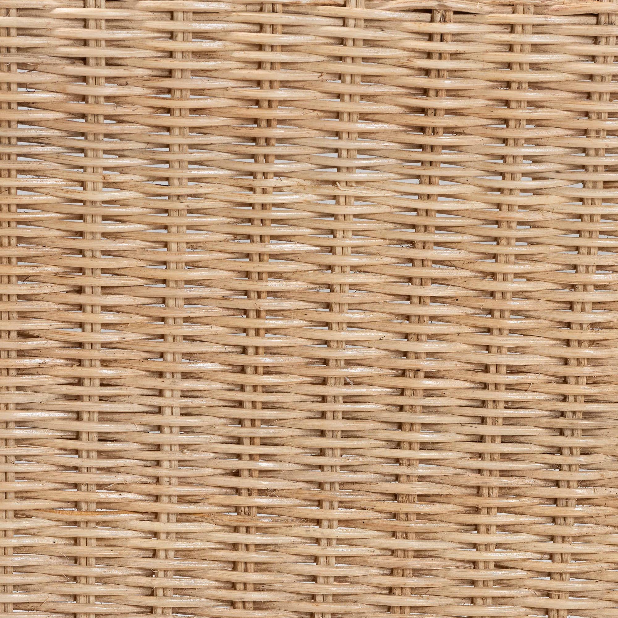 bali & pari Zaira Modern Bohemian Natural Rattan Arm Chair