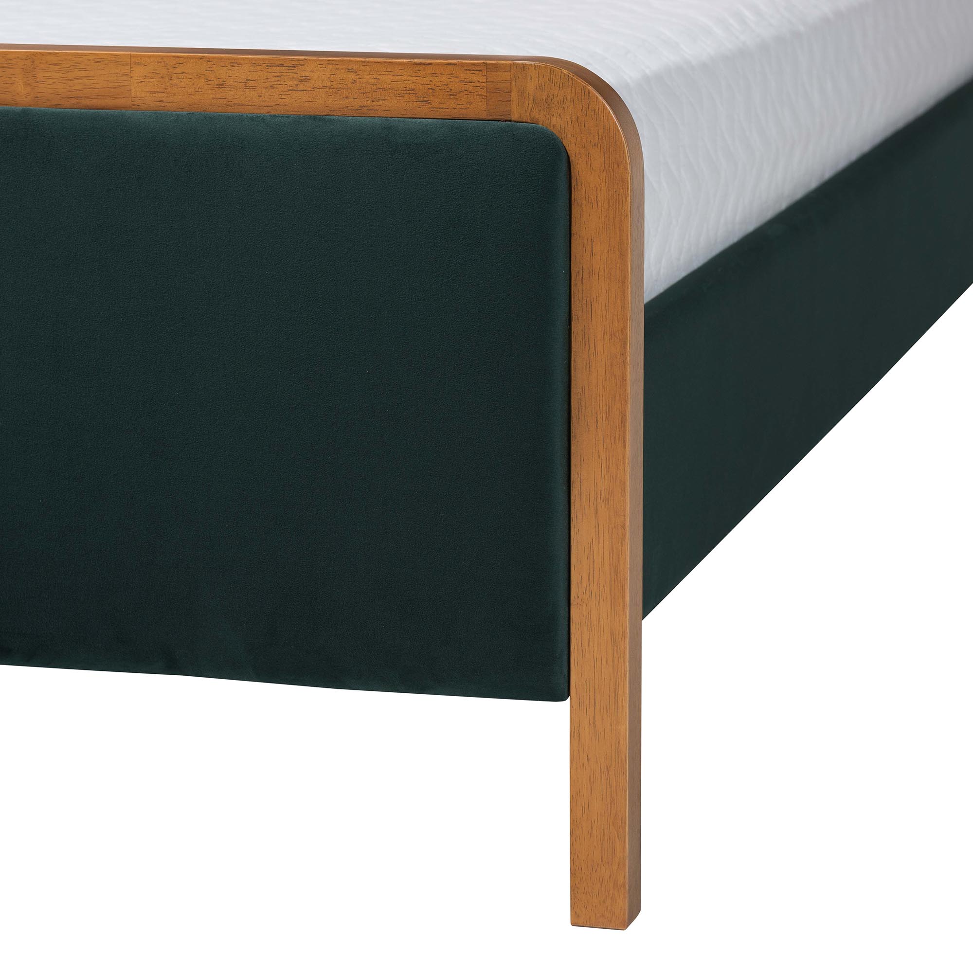 Baxton Studio Gerianne Velvet Upholstered Platform Bed - Classic European Bed Frame with Scalloped Headboard and Wood Trim, Modern Luxe Bedroom Furniture, Queen