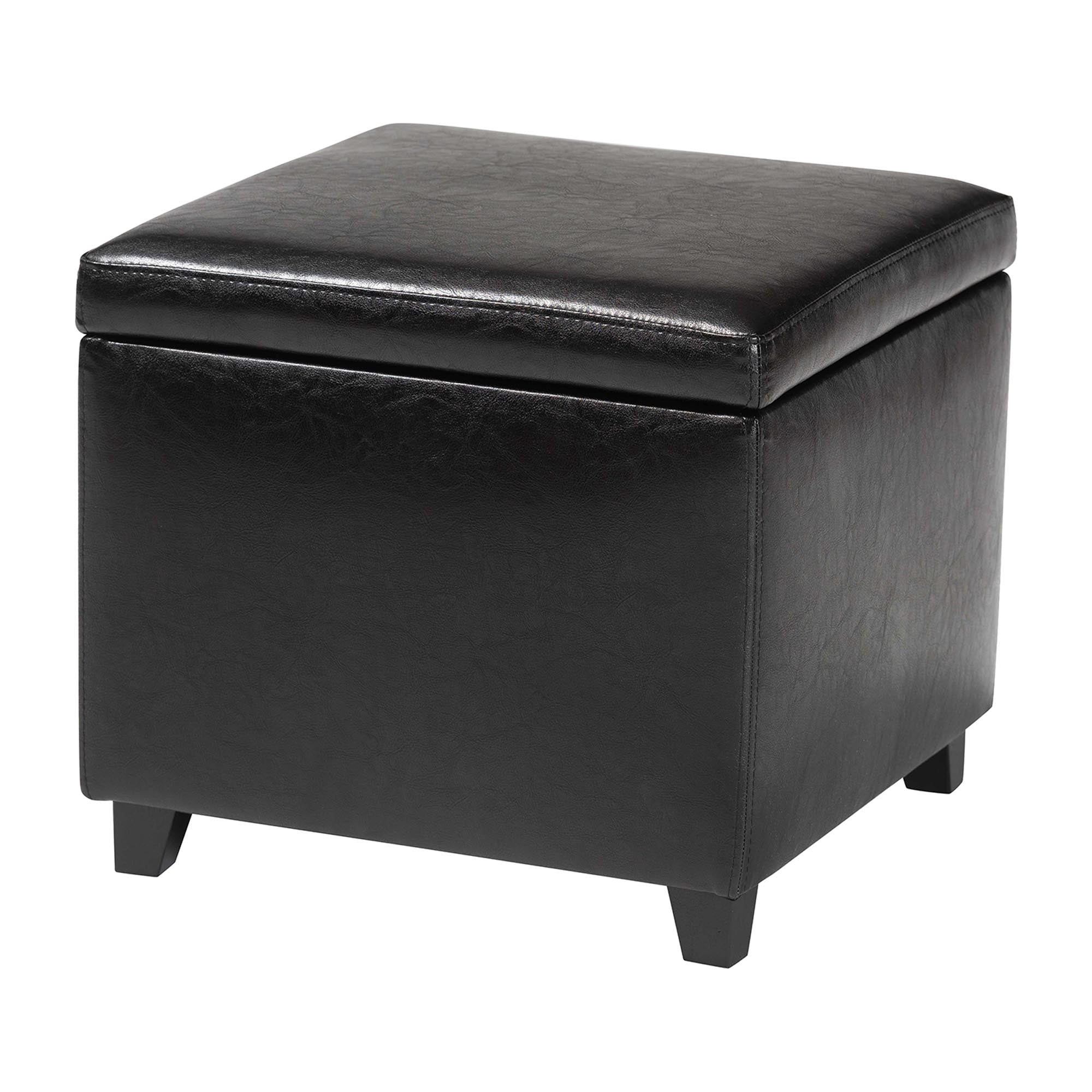 Baxton Studio Black Full Leather Small Storage Cube Ottoman