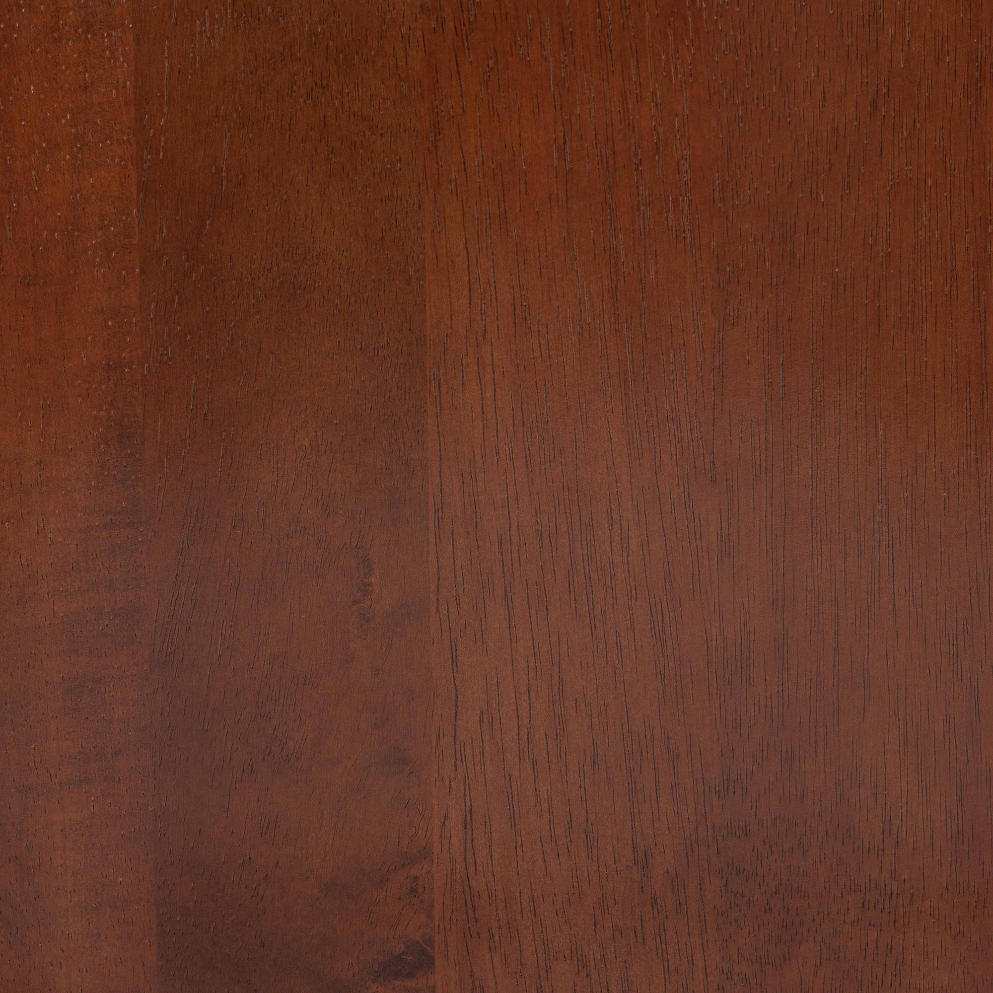 Baxton Studio Netherlands Mid-century Modern Scandinavian Style Dark Walnut Bent Wood Dining Side Chair