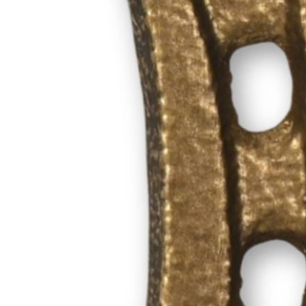 4" Antiqued Gold Cast Iron Horseshoe Wall Hook