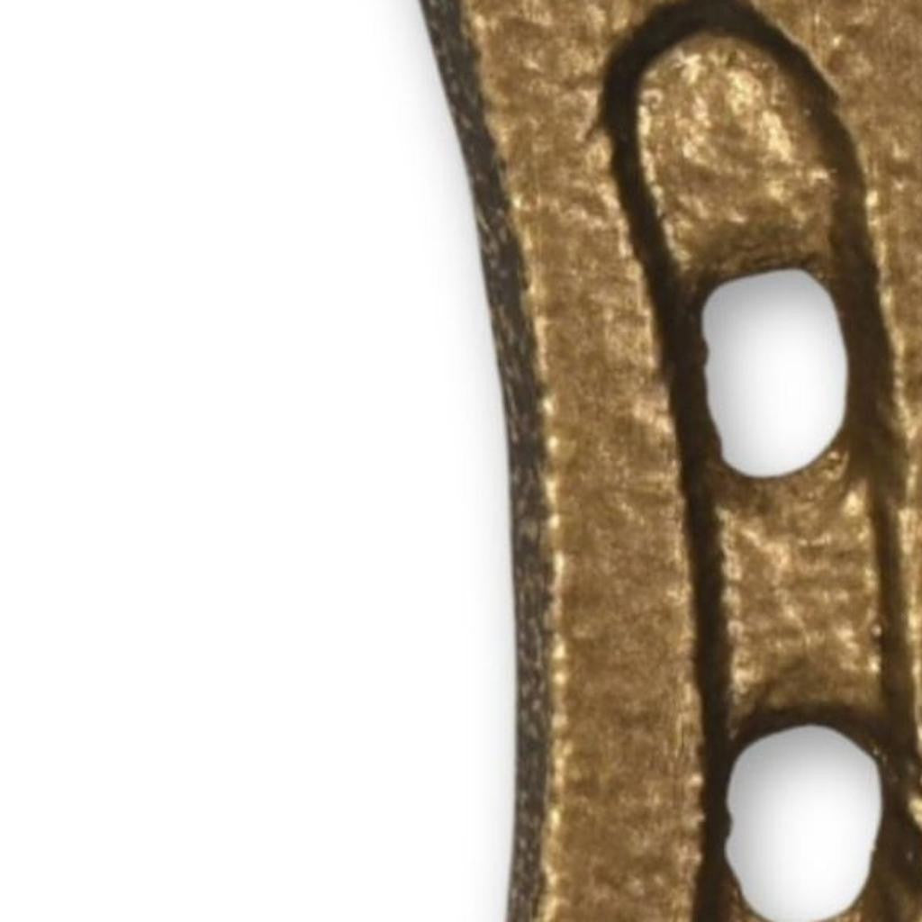 4" Antiqued Gold Cast Iron Horseshoe Wall Hook