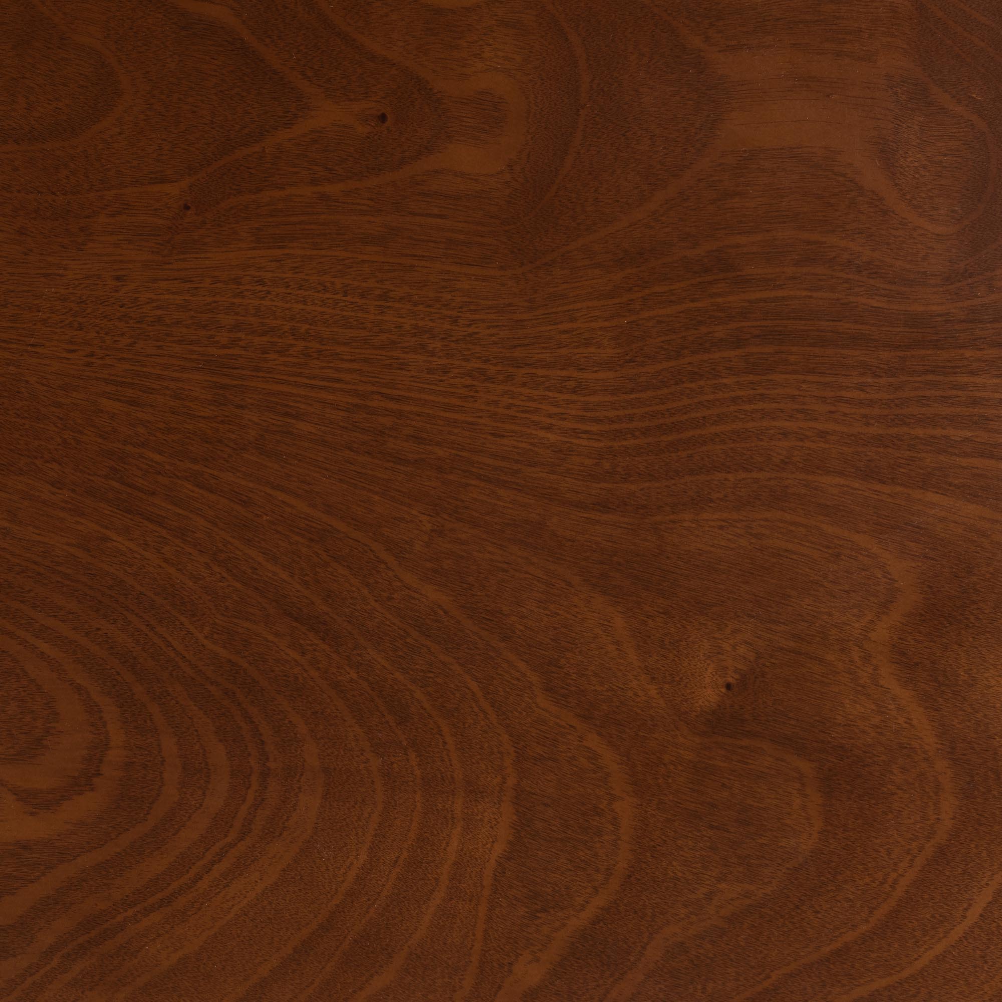 Baxton Studio Eveline Modern Walnut Brown Finished Wood 43-Inch Dining Table