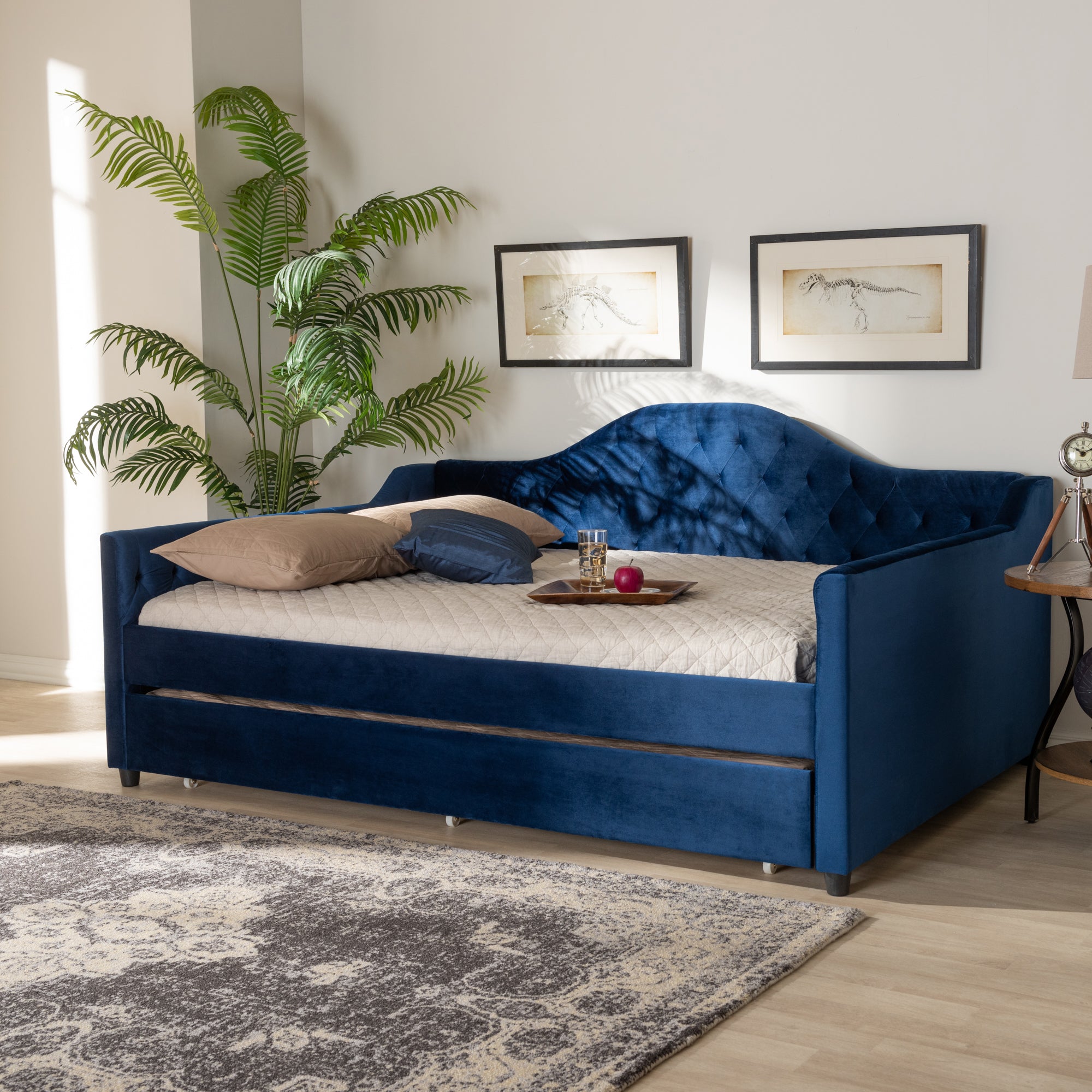 Baxton Studio Perry Modern and Contemporary Navy Blue Velvet Fabric Upholstered and Button Tufted Queen Size Daybed with Trundle