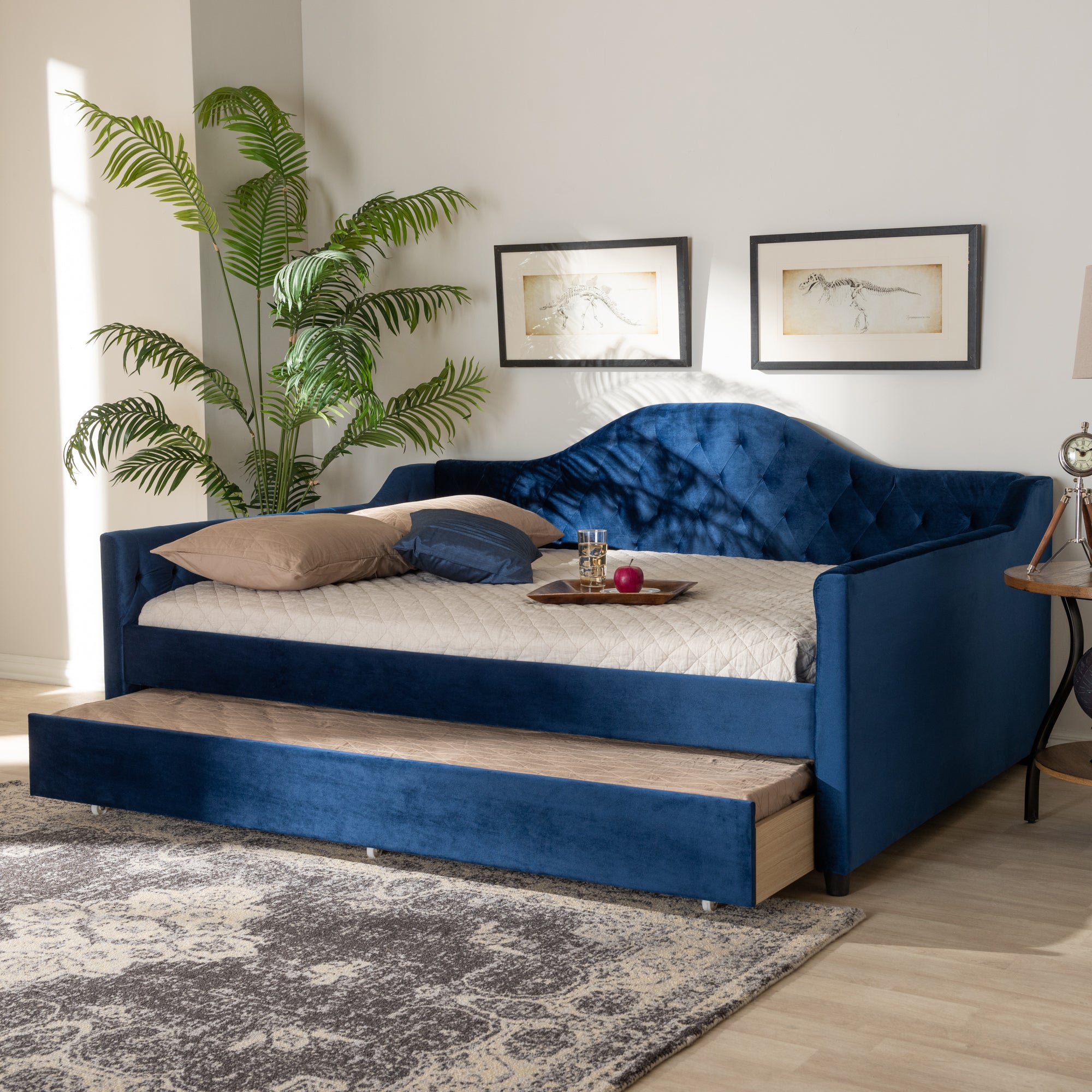 Baxton Studio Perry Modern and Contemporary Navy Blue Velvet Fabric Upholstered and Button Tufted Queen Size Daybed with Trundle