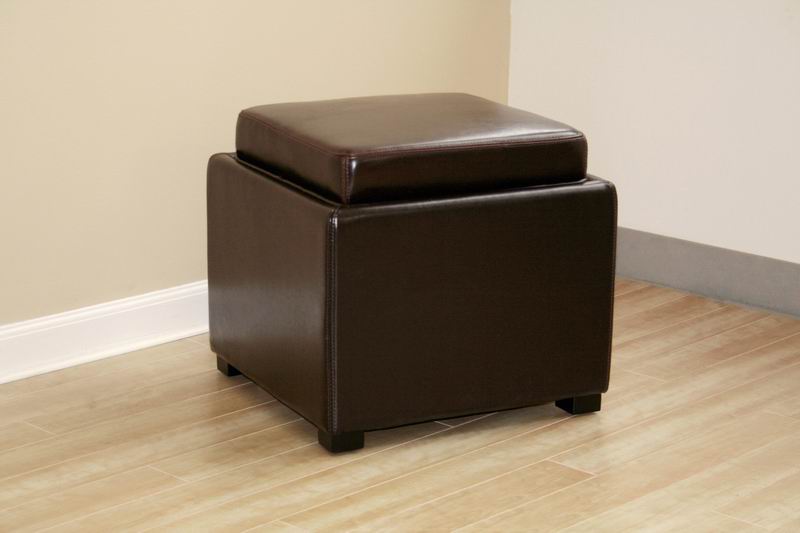 Baxton Studio Dark Brown Tate Storage Ottoman
