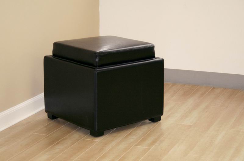 Baxton Studio Black Tate Storage Ottoman
