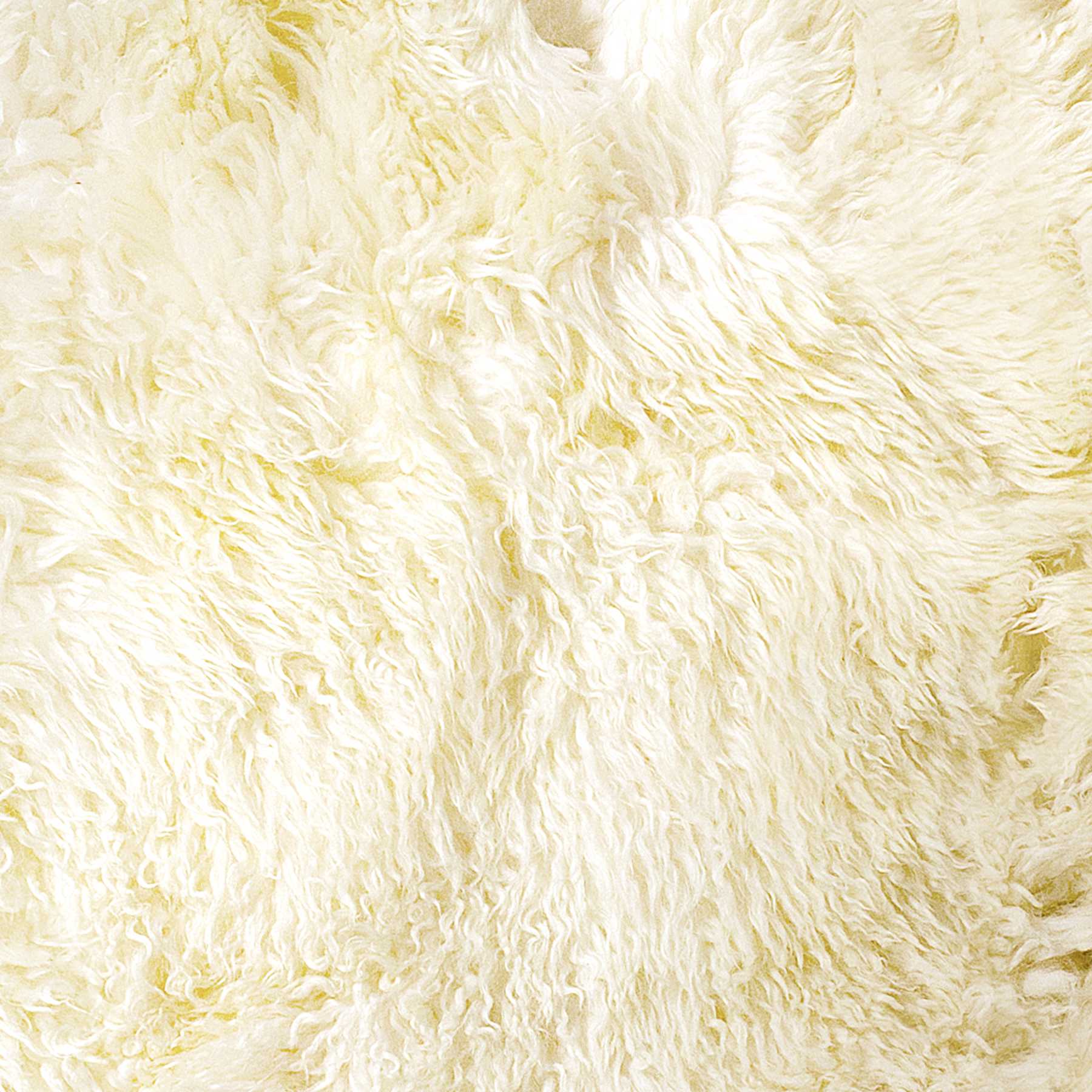 2' x 3'  Natural New Zealand Sheepskin Wool  Area Rug