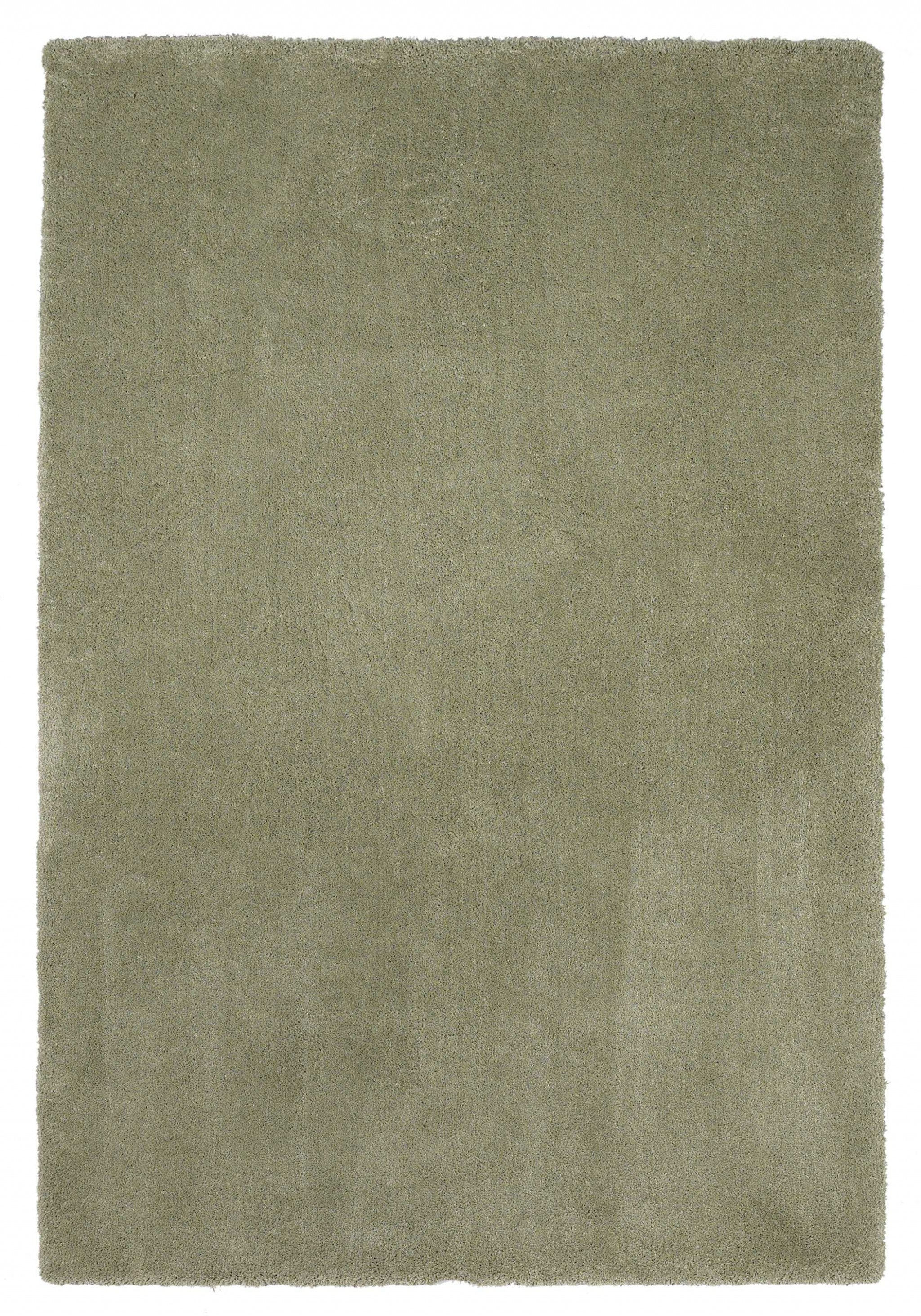 9' x 13' Polyester Sage Area Rug