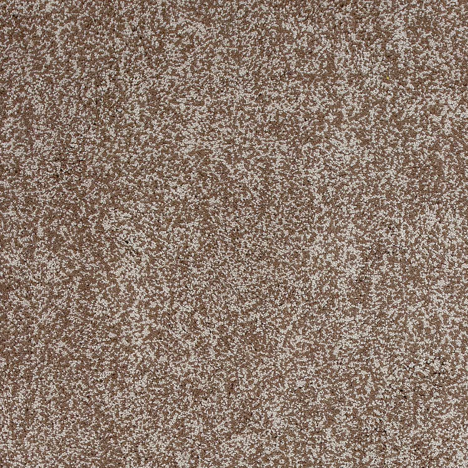 5'x7' Beige Heather Indoor Shag Rug