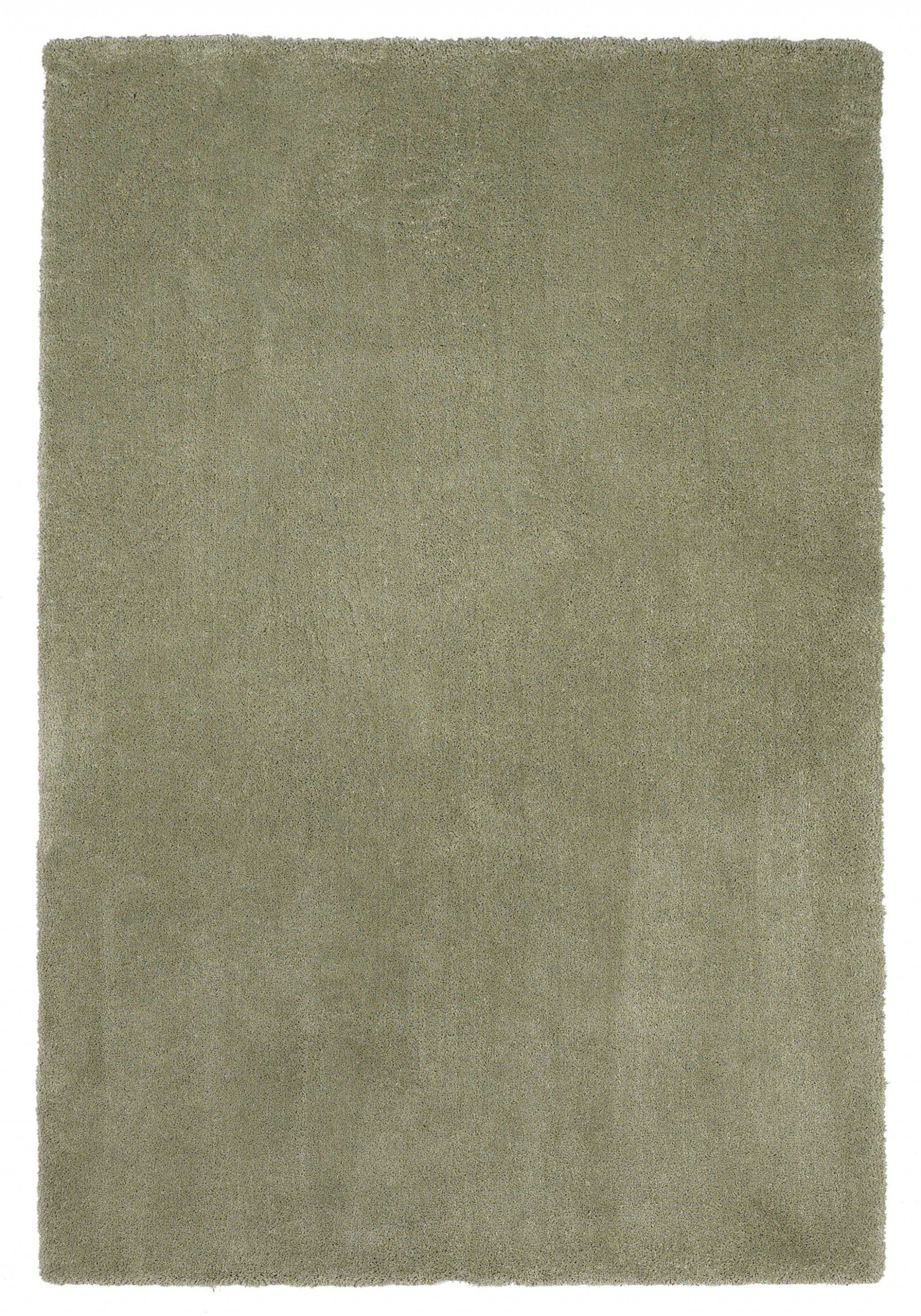 5'x7' Sage Green Indoor Shag Rug Default Title