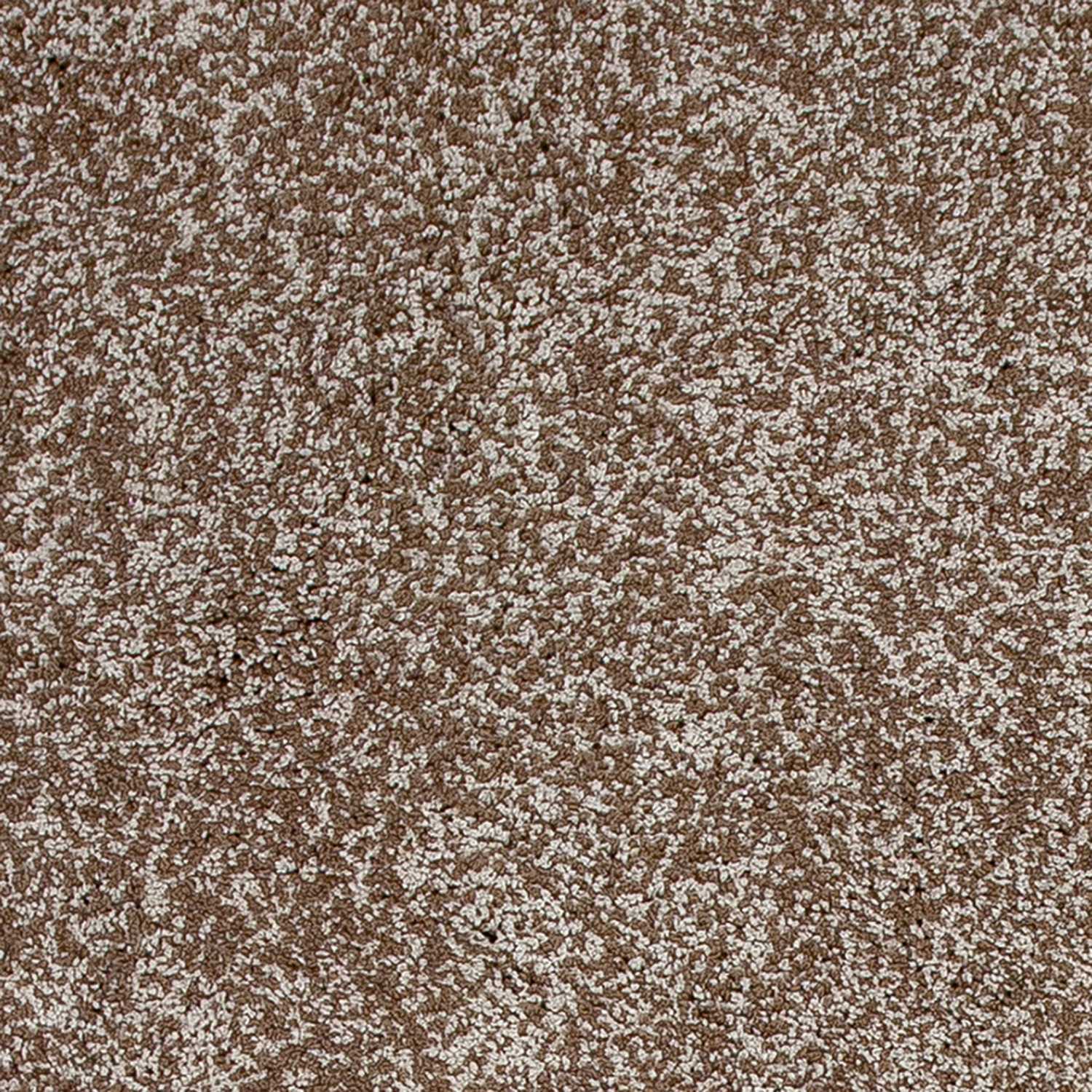 2'x4' Beige Heather Indoor Shag Rug