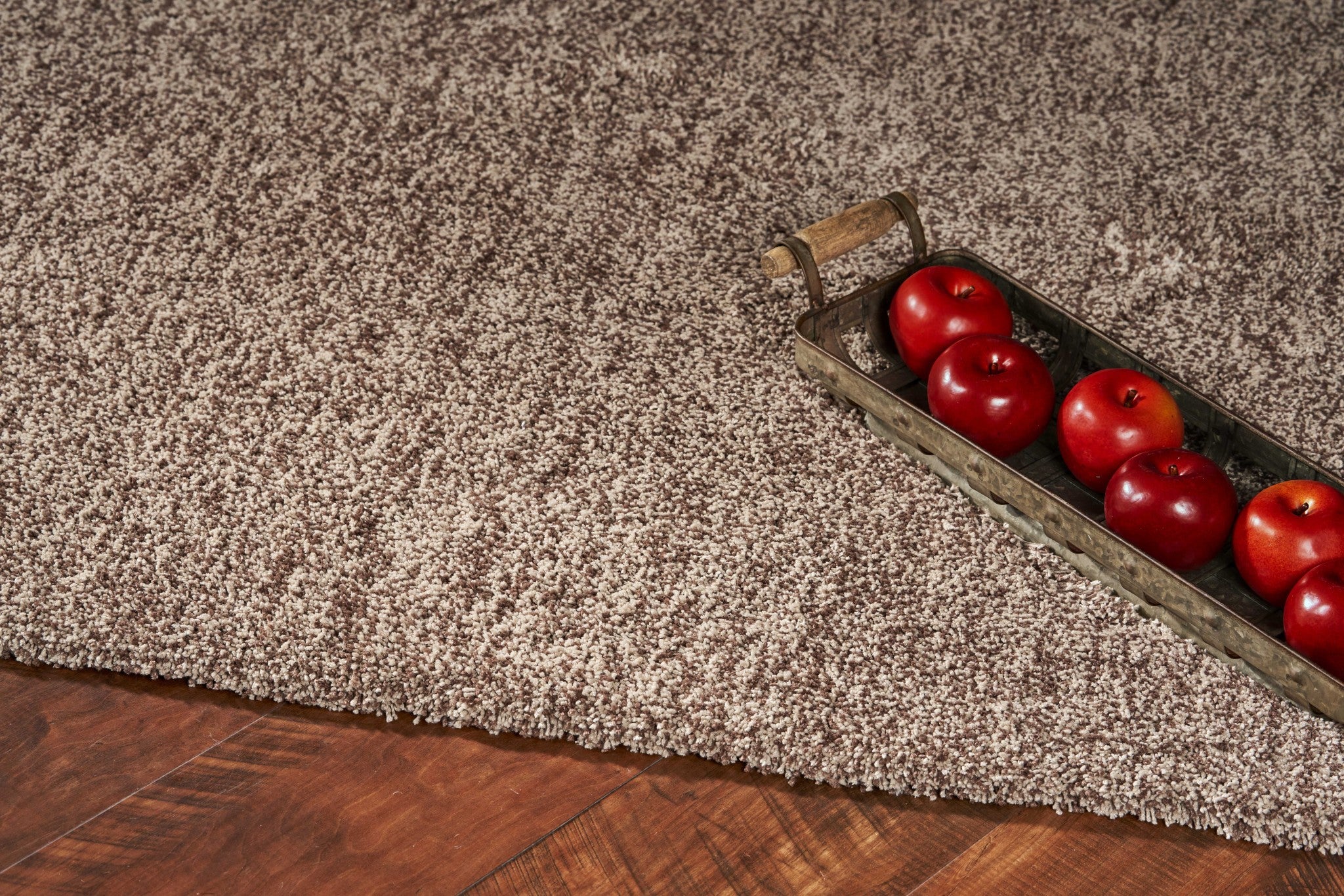 2'x4' Beige Heather Indoor Shag Rug