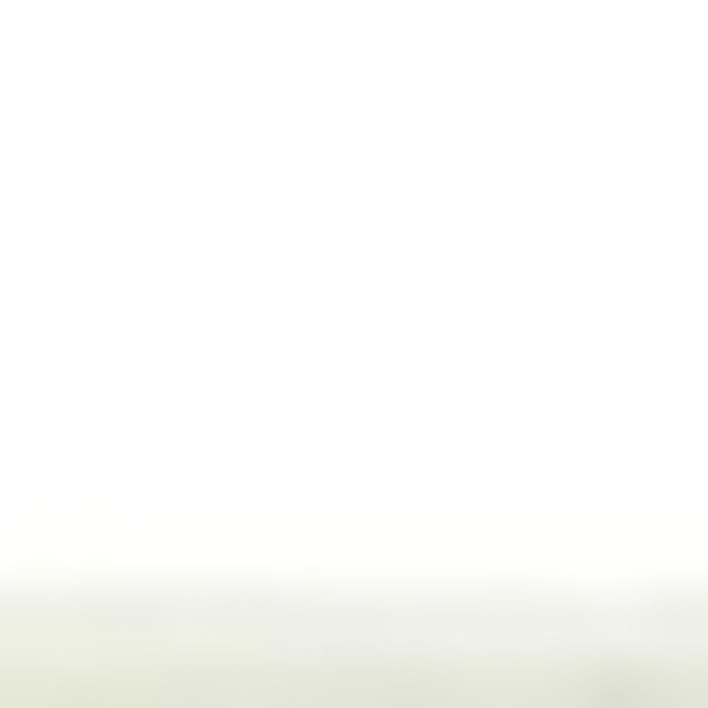 5' X 8' Ivory Floral Vines Area Rug