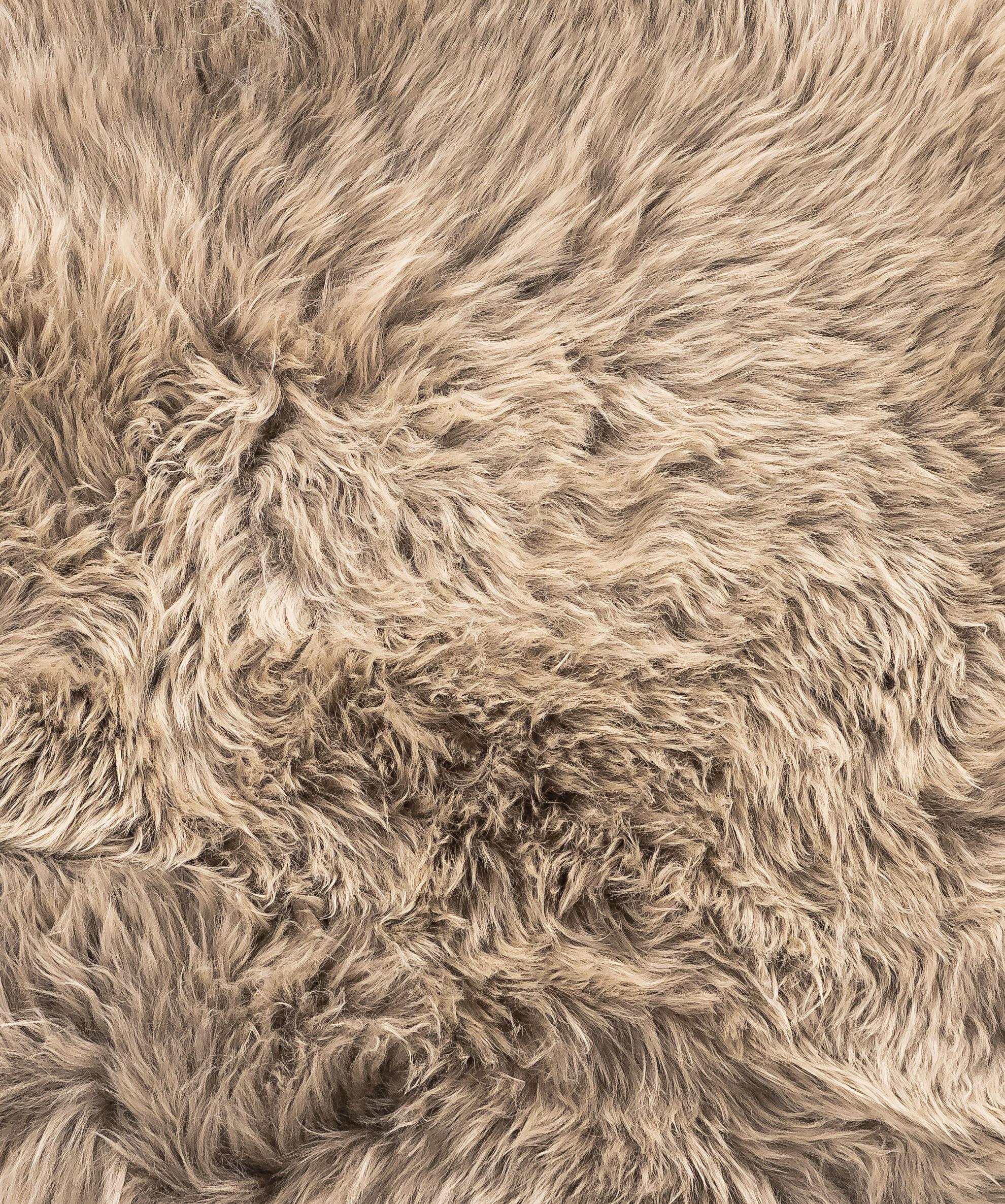 2' x 3' Latte New Zealand Natural Sheepskin Rug