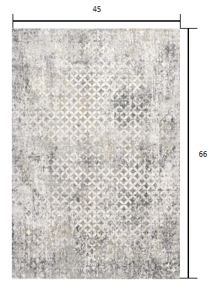 4’ x 6’ Gray and Ivory Distressed Area Rug