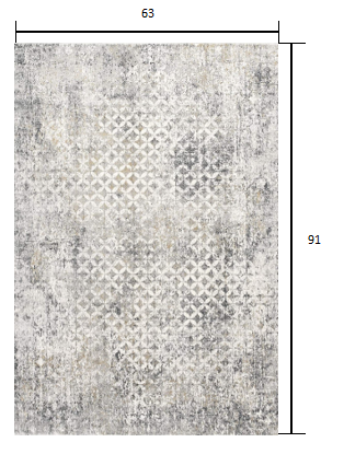 5’ x 8’ Gray and Ivory Distressed Area Rug