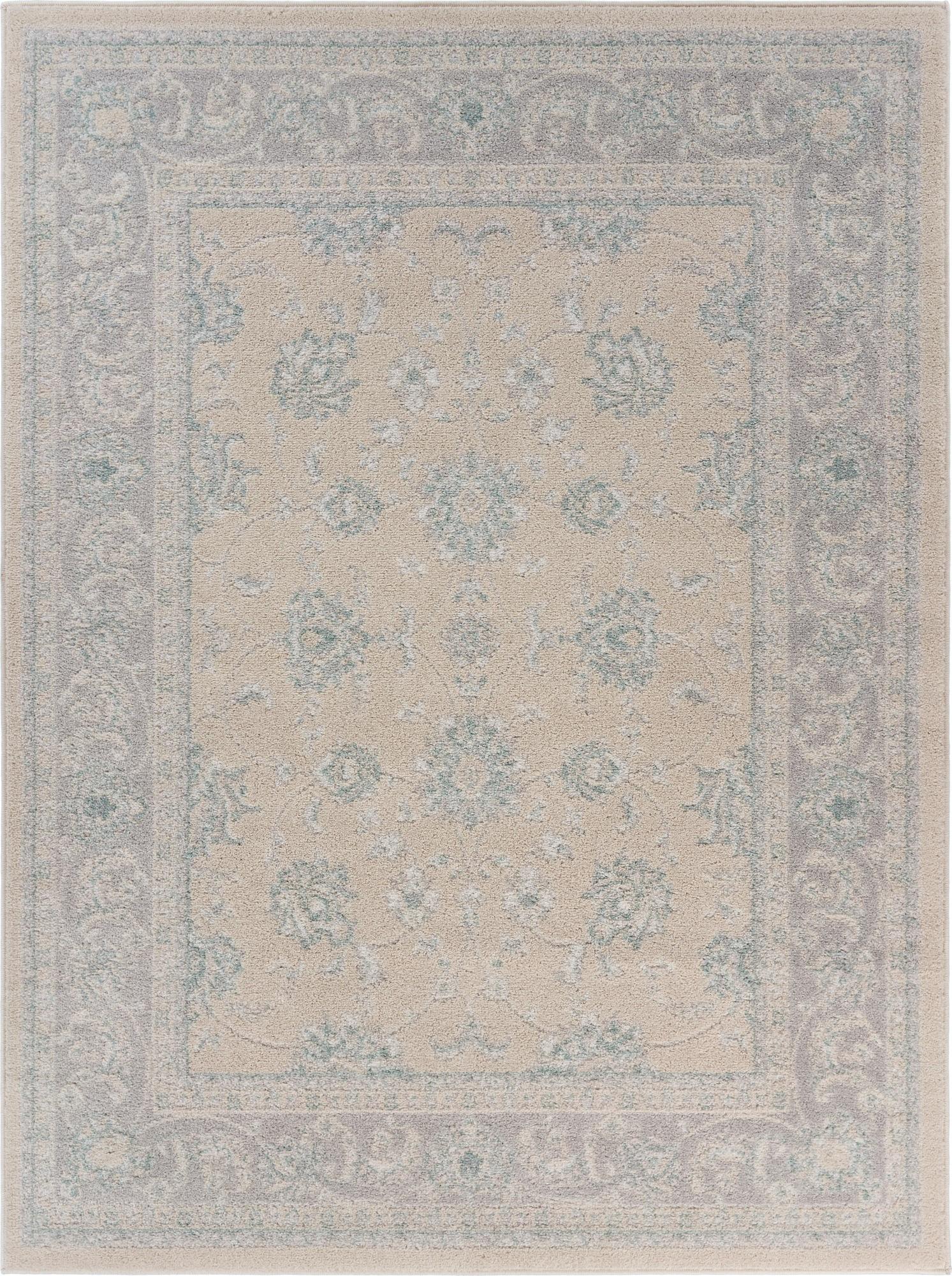 5’ x 7’ Blue and Beige Ornate Bordered Area Rug Default Title
