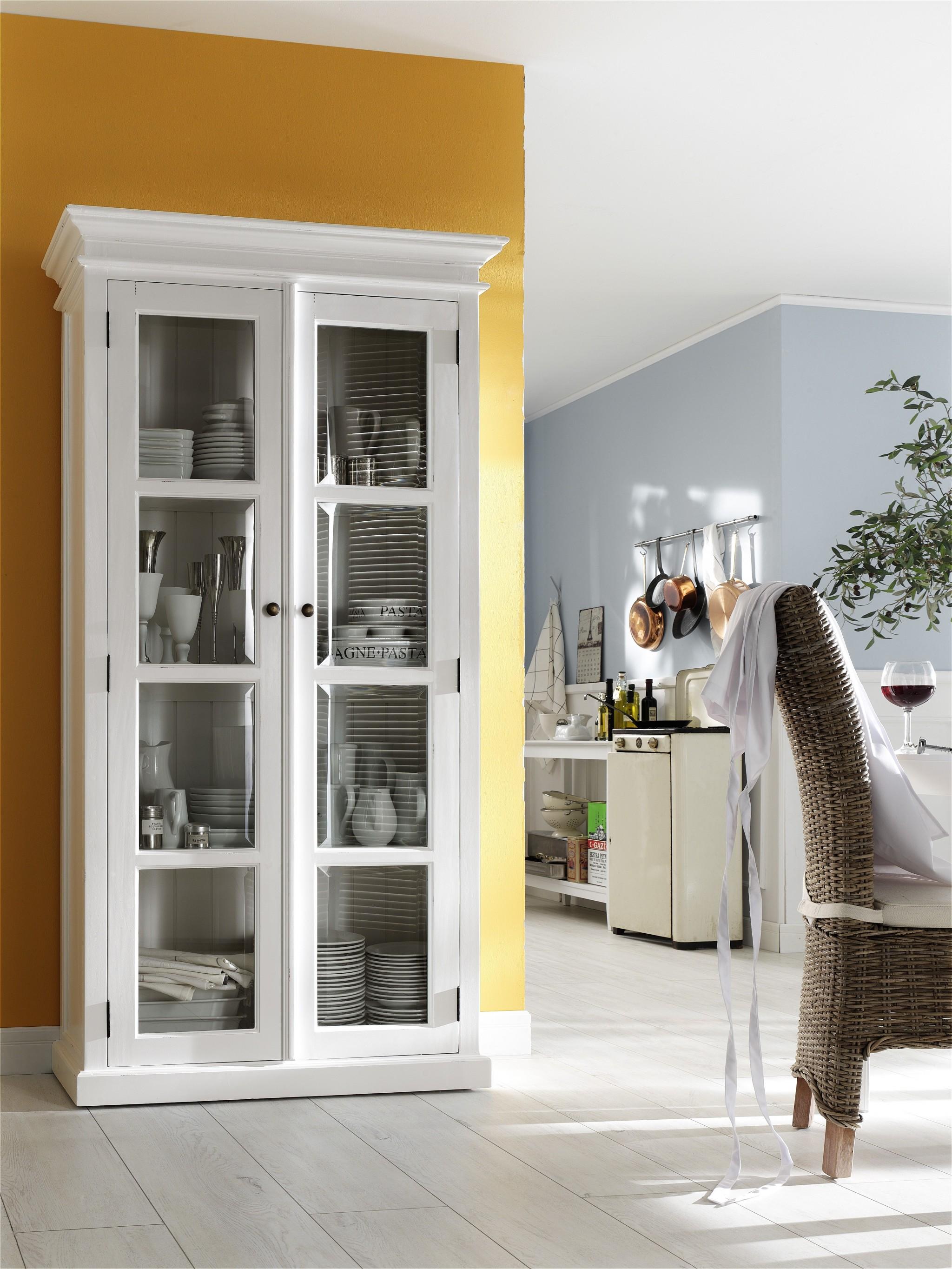 Classic White and Glass Double Door Storage Cabinet