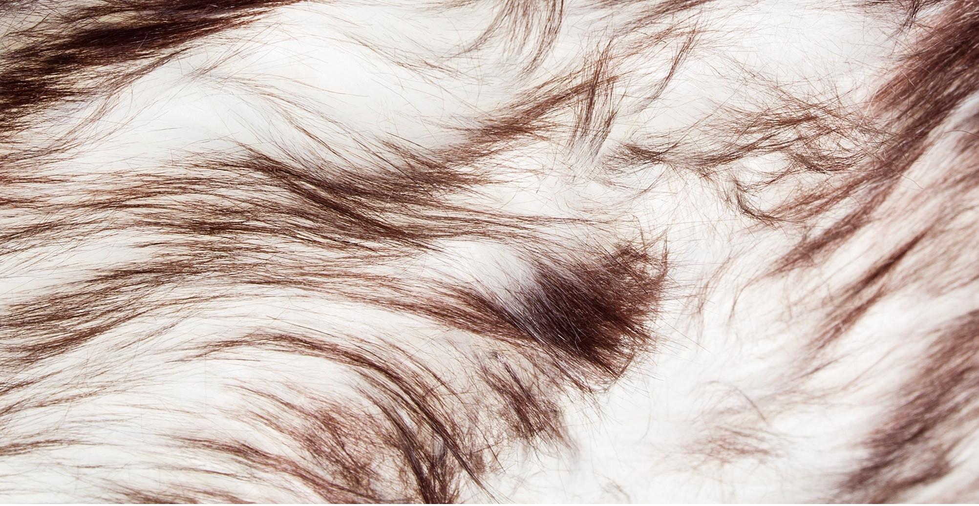 3' X 5' Chocolate Faux Fur Ombre Non Skid Area Rug Default Title